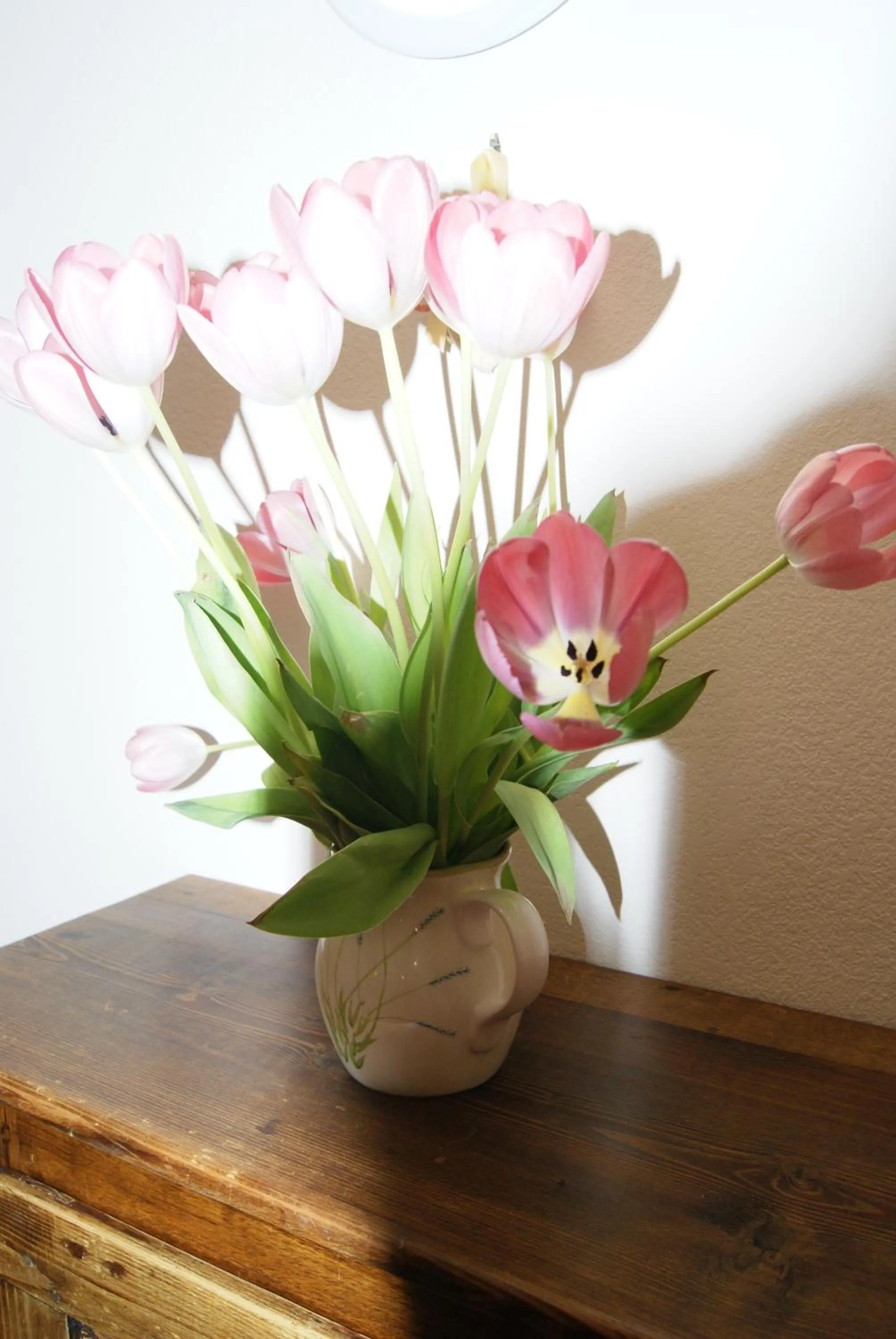 Area and facilities in Le Mas des Chênes