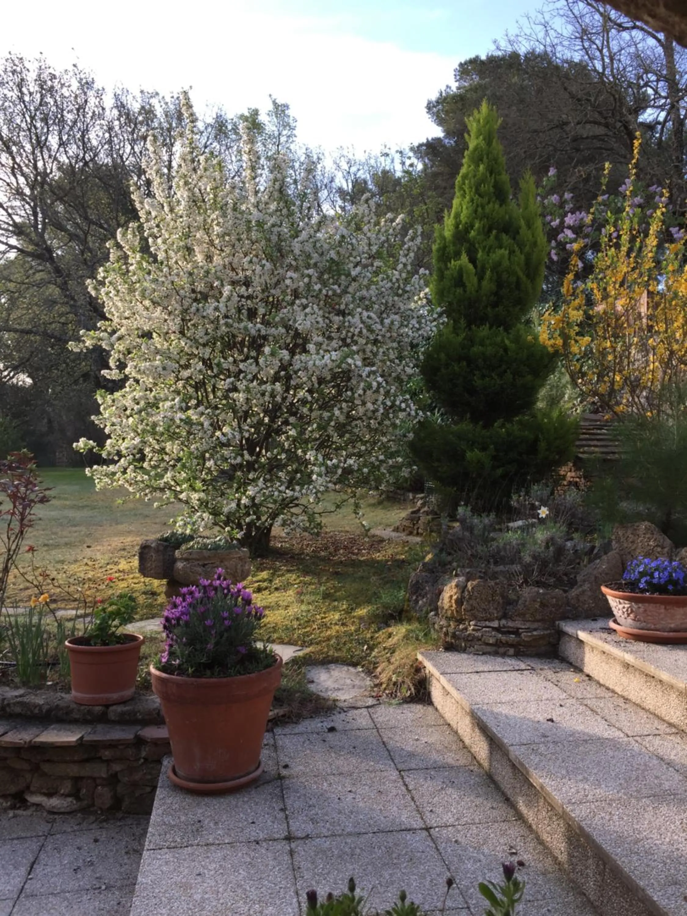 Property building in Le Mas des Chênes