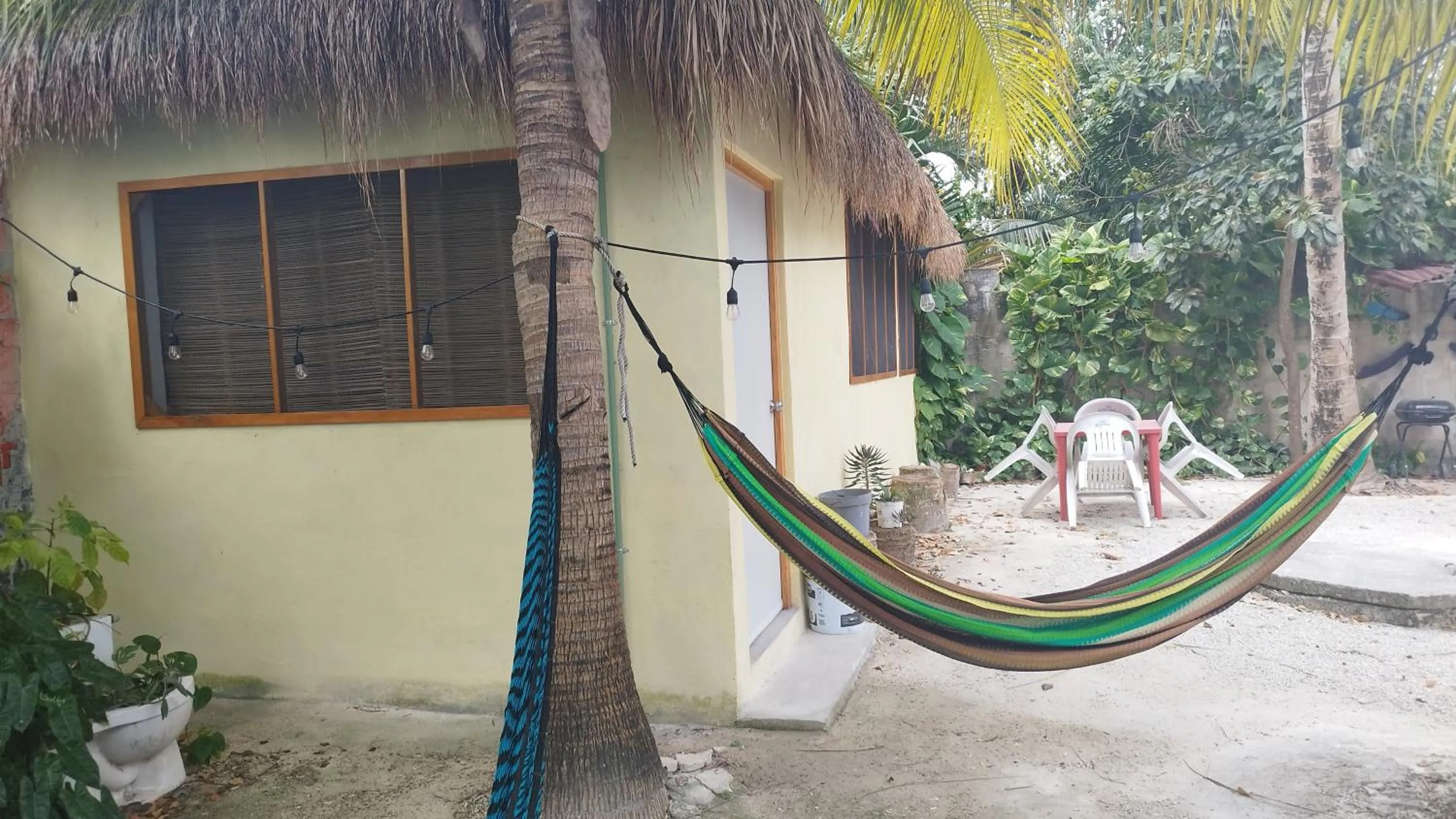 Garden in Blue Magic Hostel