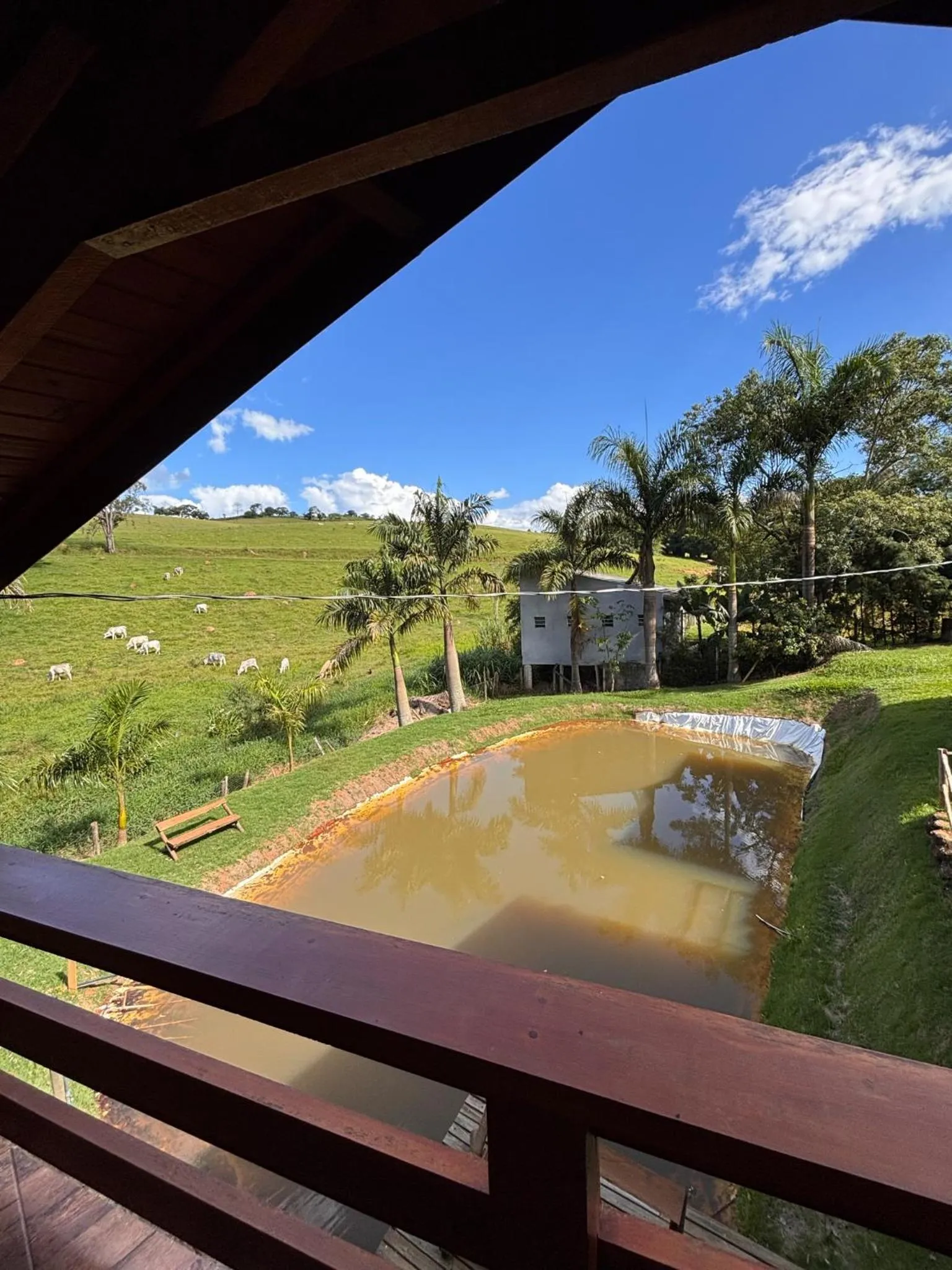 View (from property/room) in Chácara Águas Claras