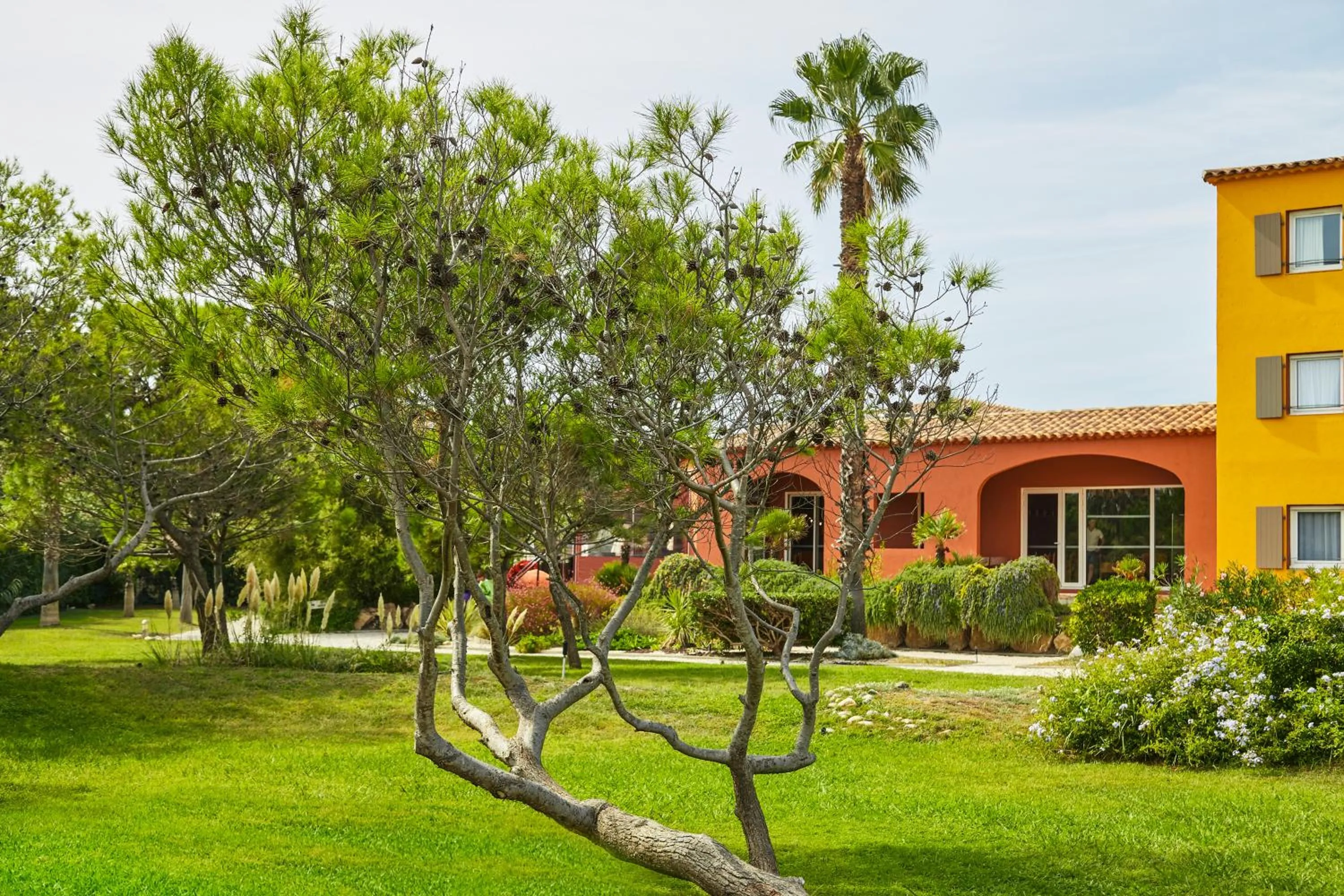 Garden in ibis Thalassa Hyeres Plage