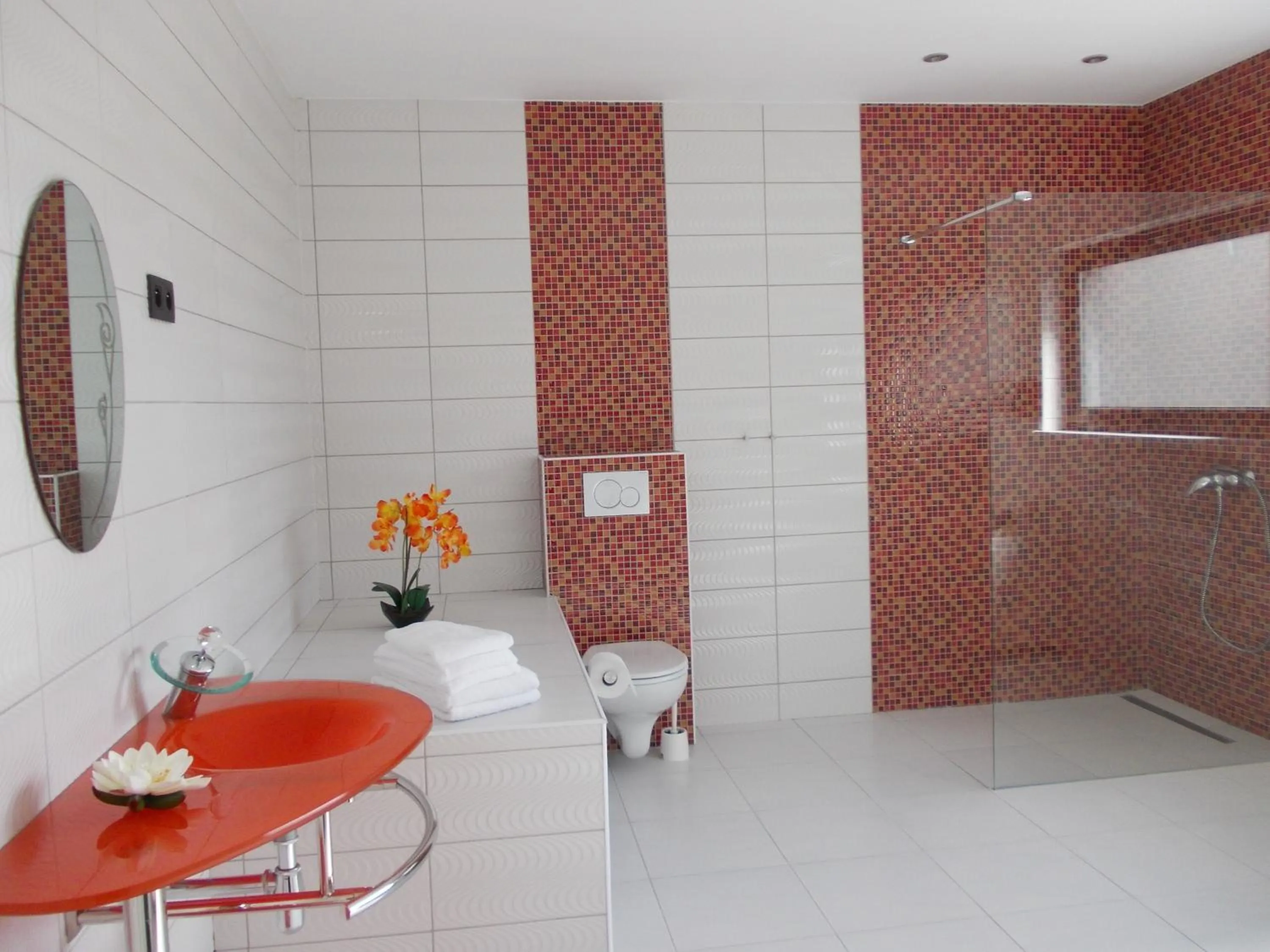 Shower in Hotel Phenix