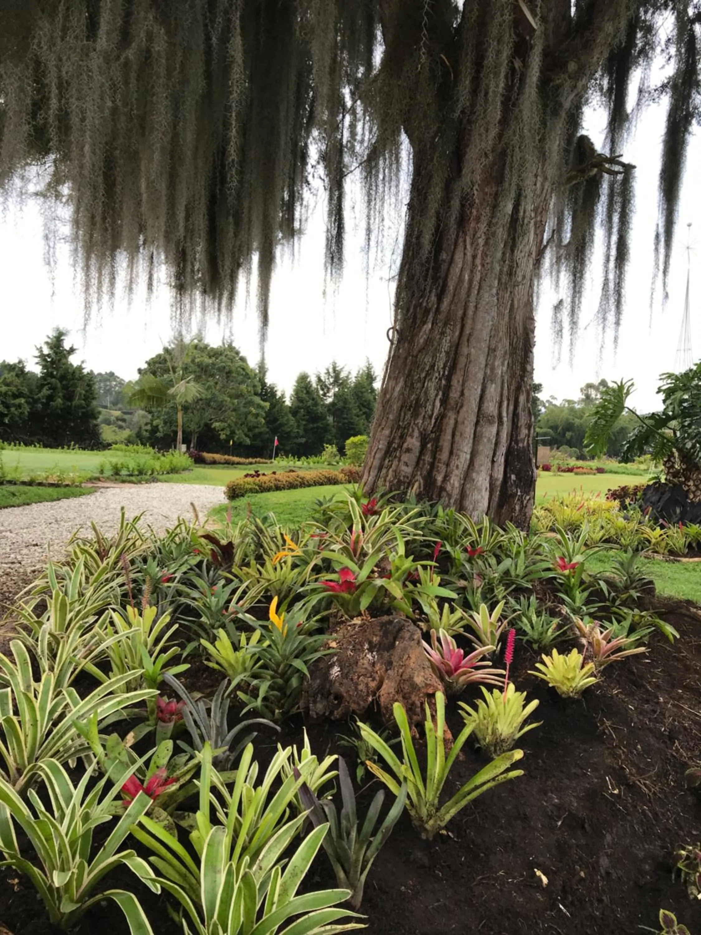 Natural landscape in Hotel & Golf Isak Aeropuerto