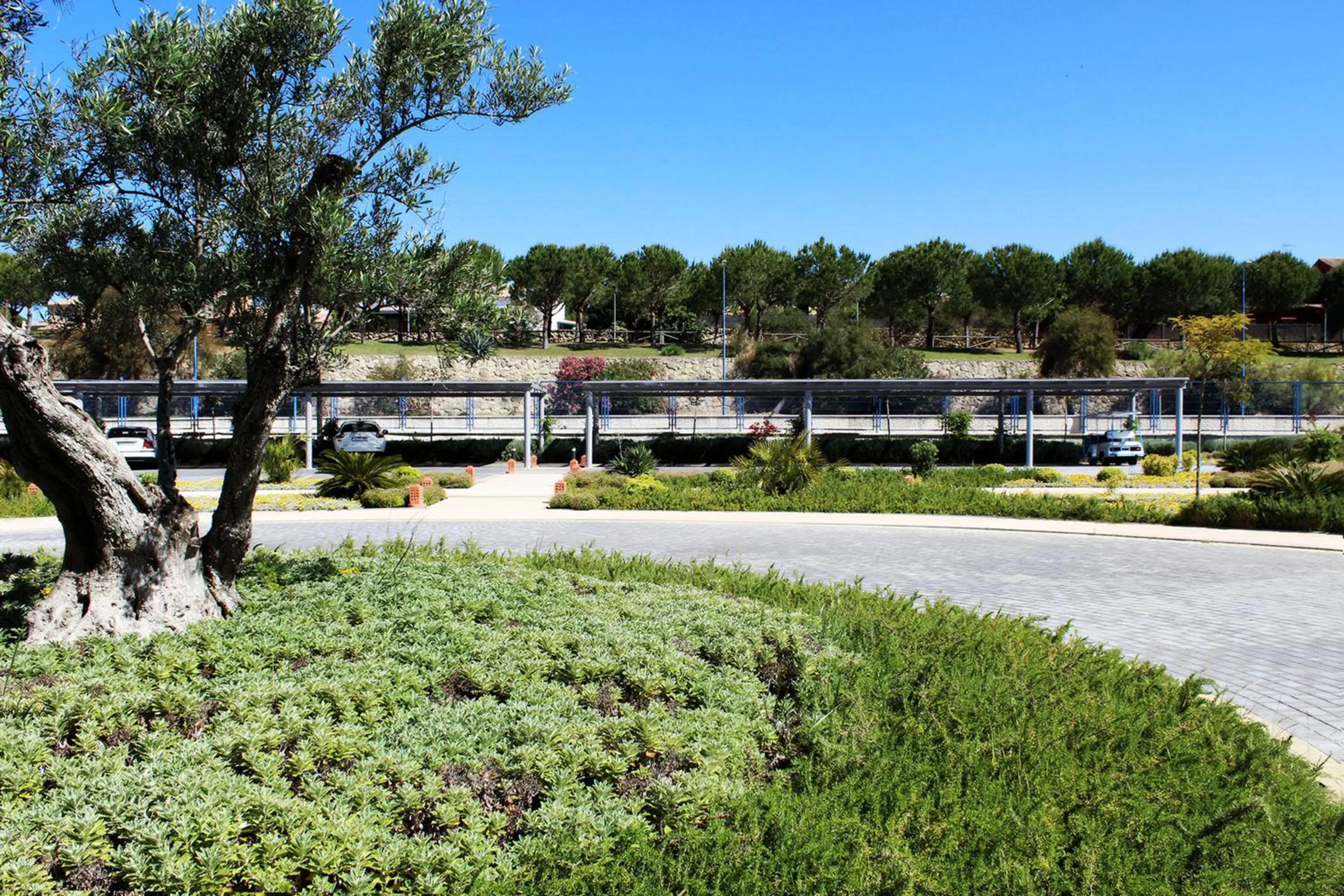 Area and facilities in Suites Puerto Sherry