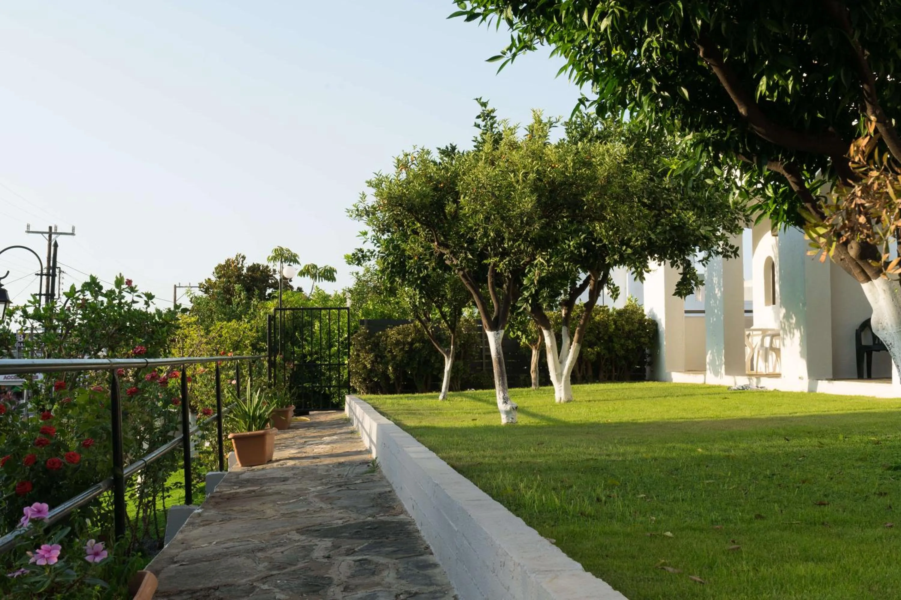 Patio in Hotel Malia Holidays