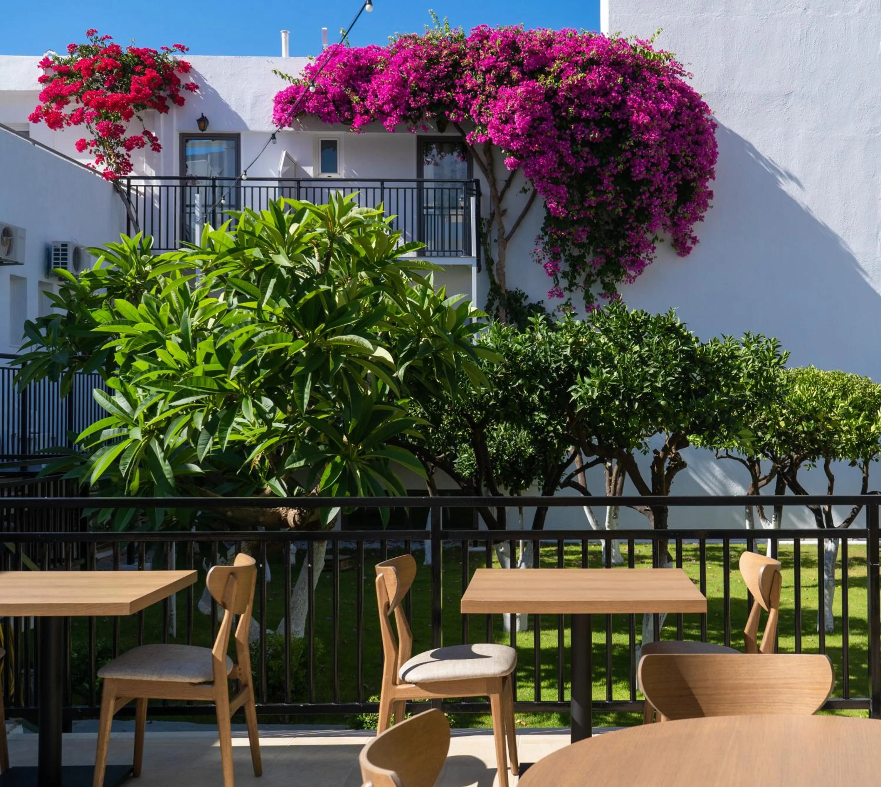 Restaurant/places to eat in Hotel Malia Holidays