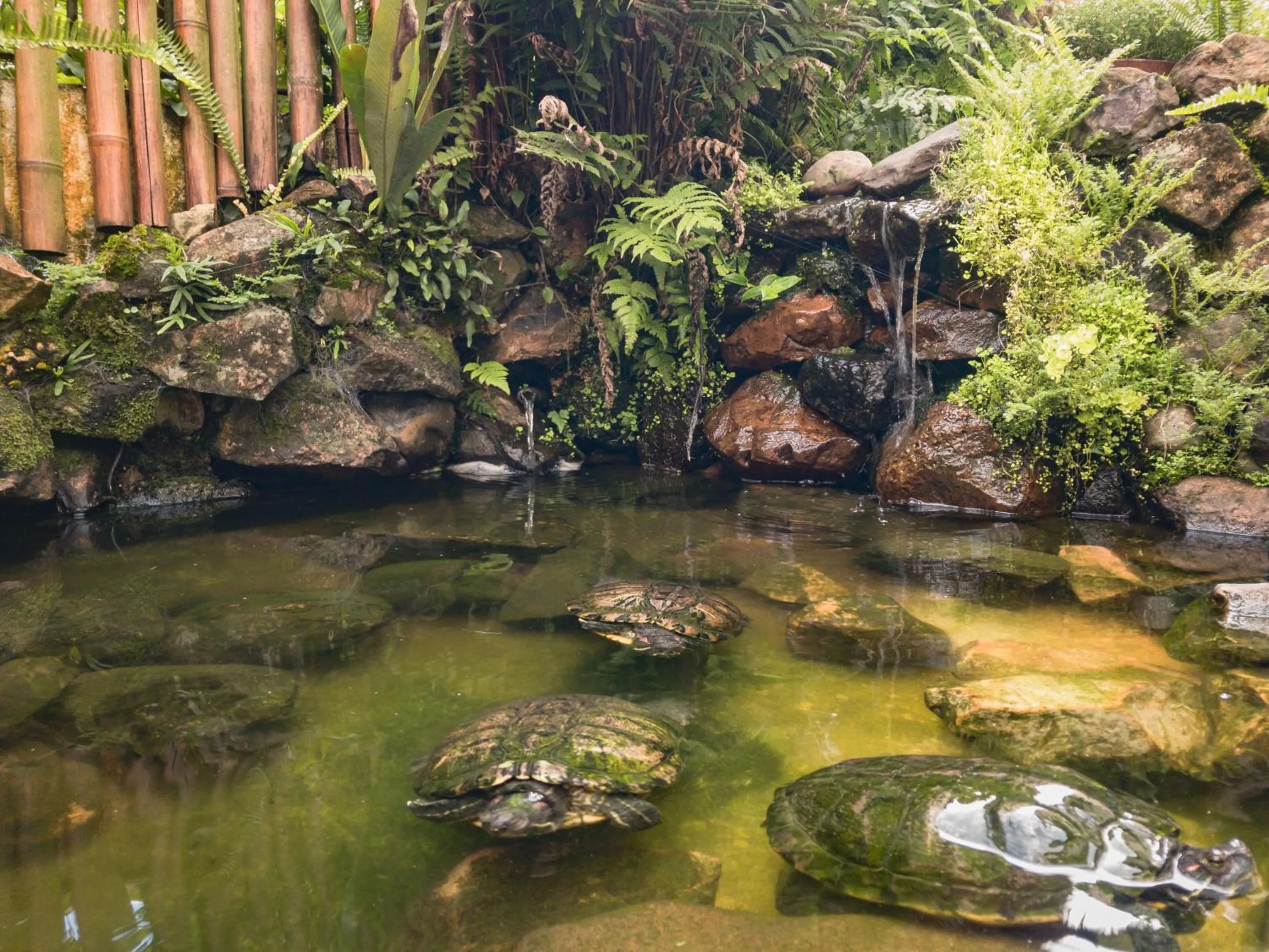 Lake view in Pousada Serrana