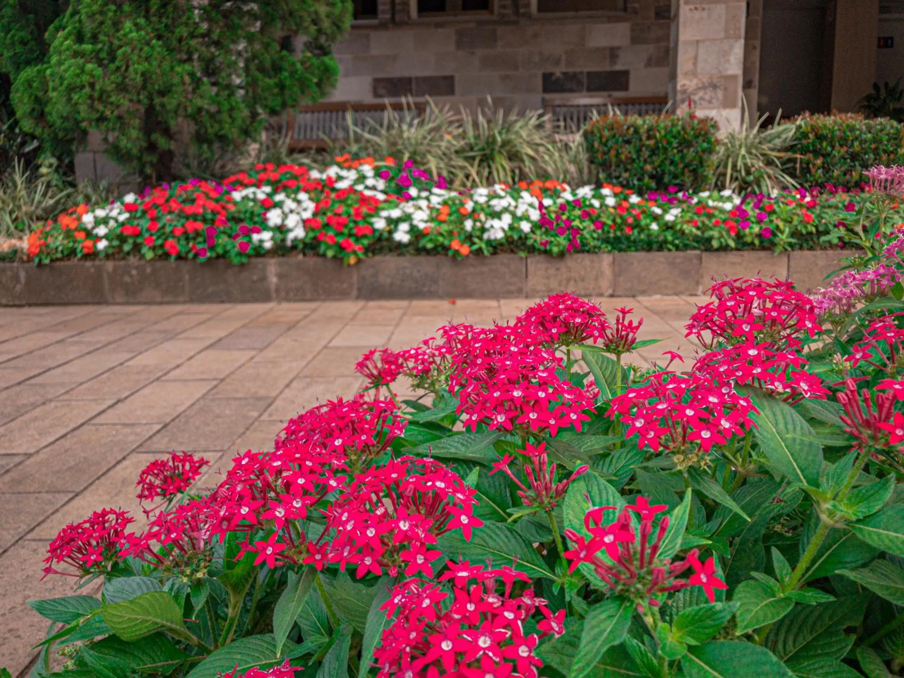 Garden in Pousada Serrana