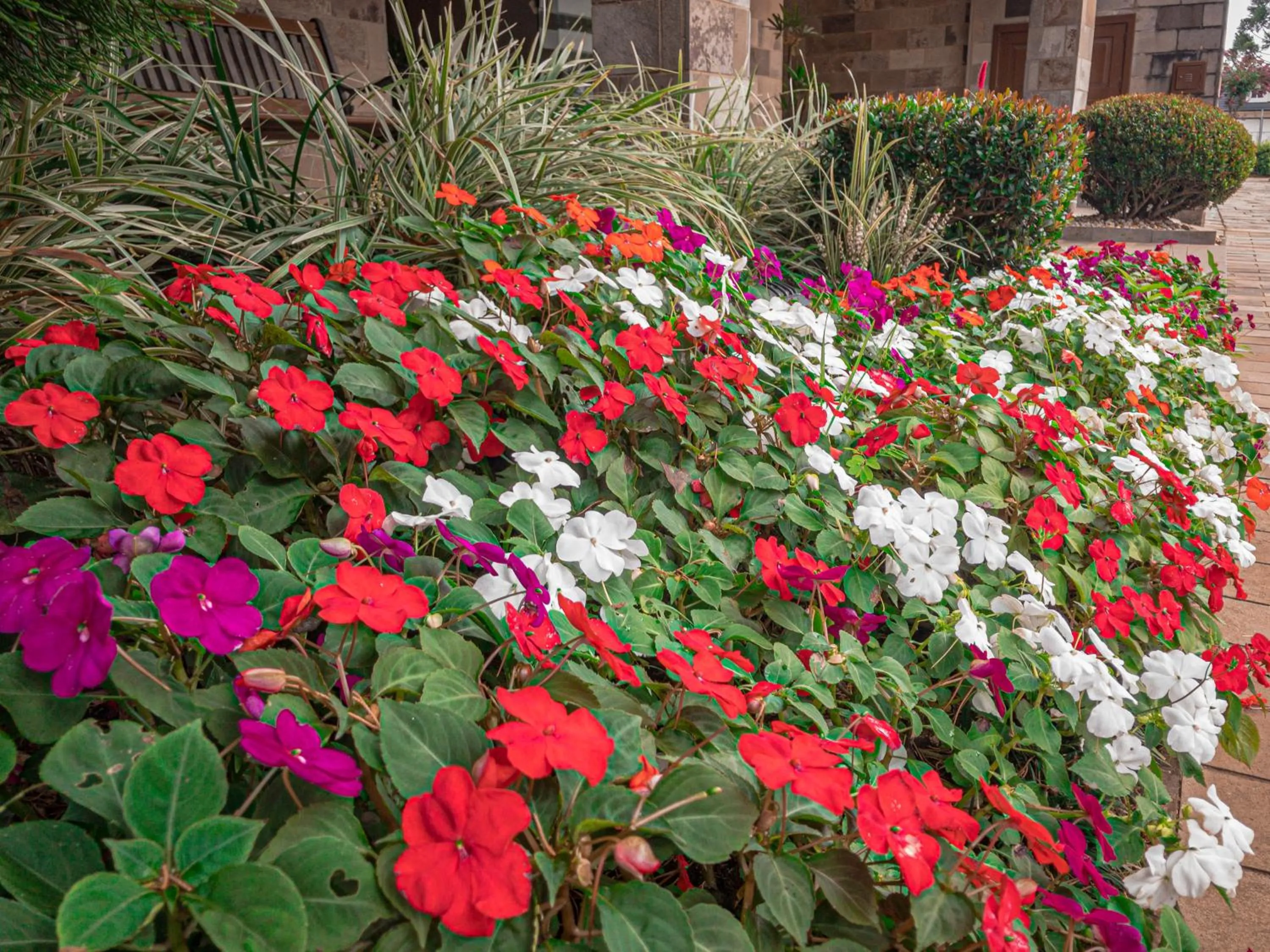 Garden in Pousada Serrana