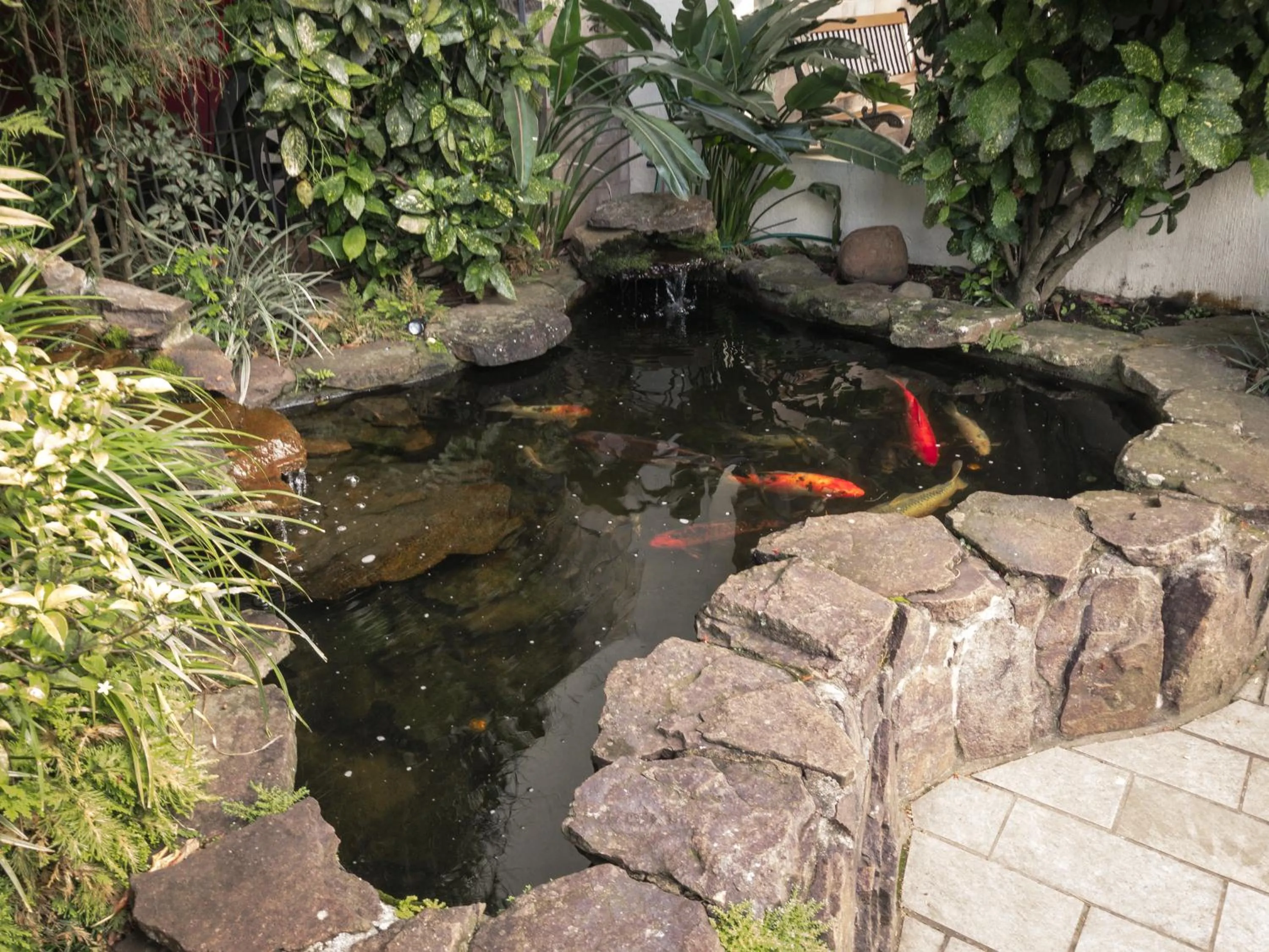 Lake view in Pousada Serrana