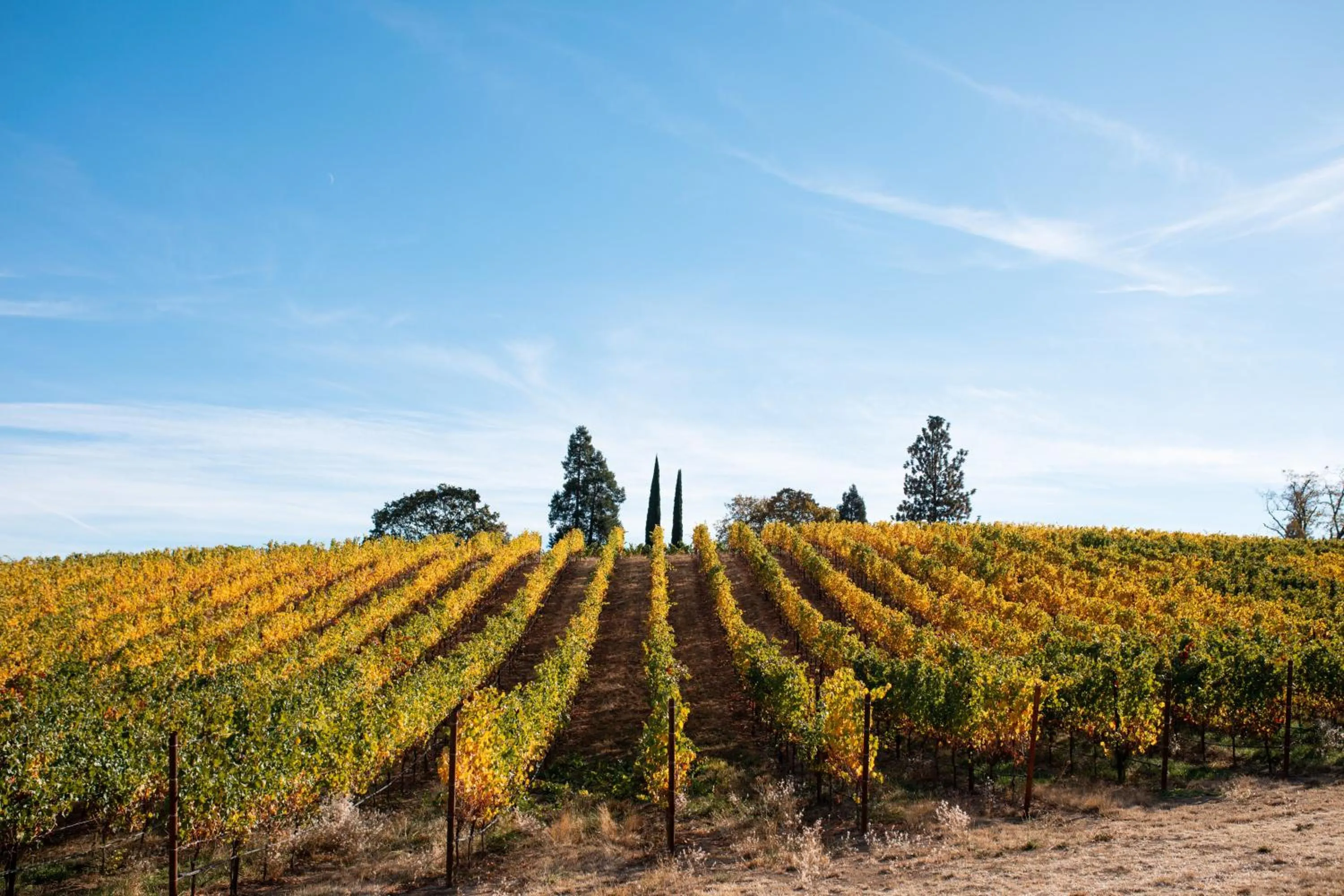 View (from property/room) in Hummingbird Estate