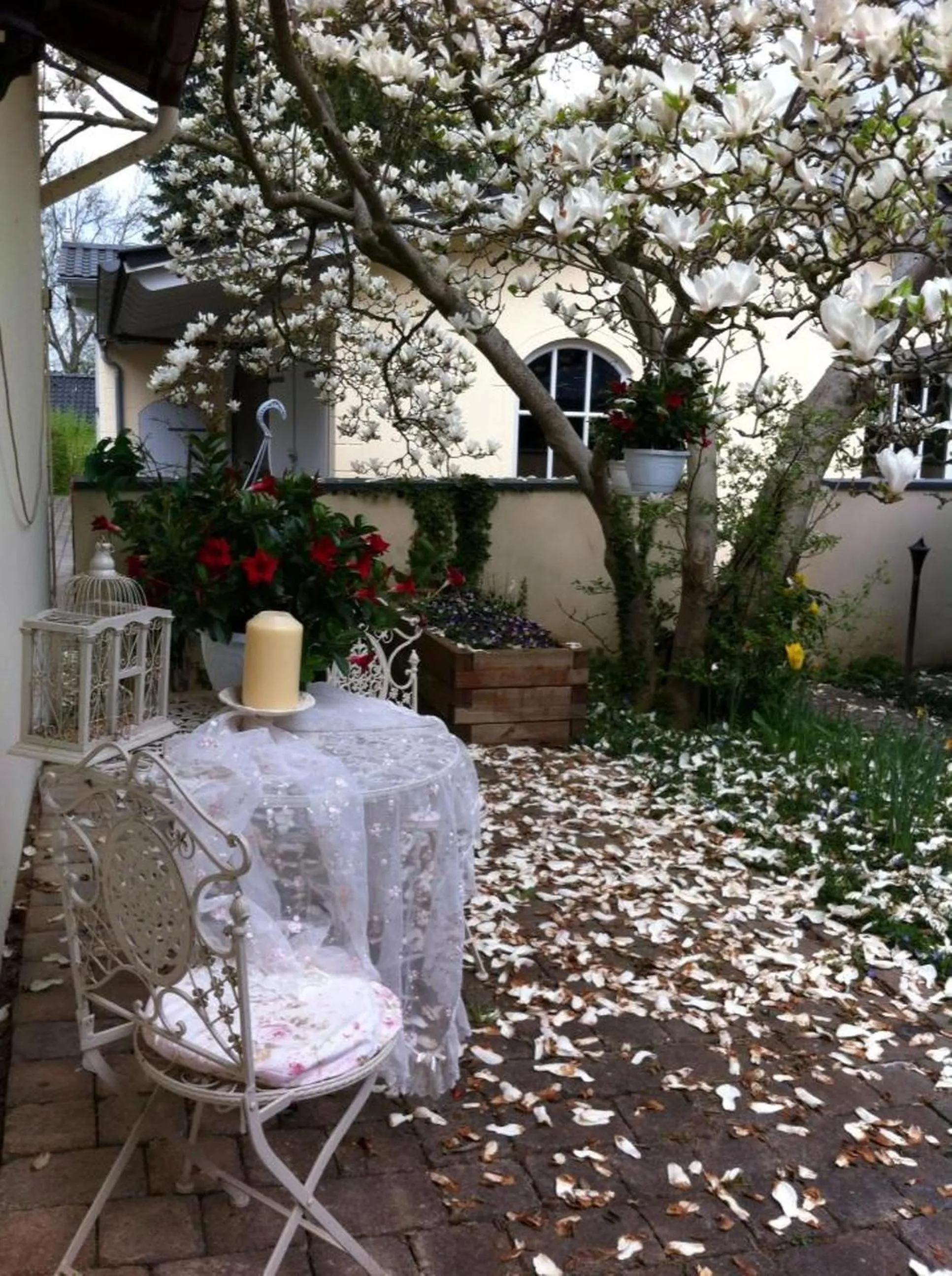Patio in Hotel Seeufer