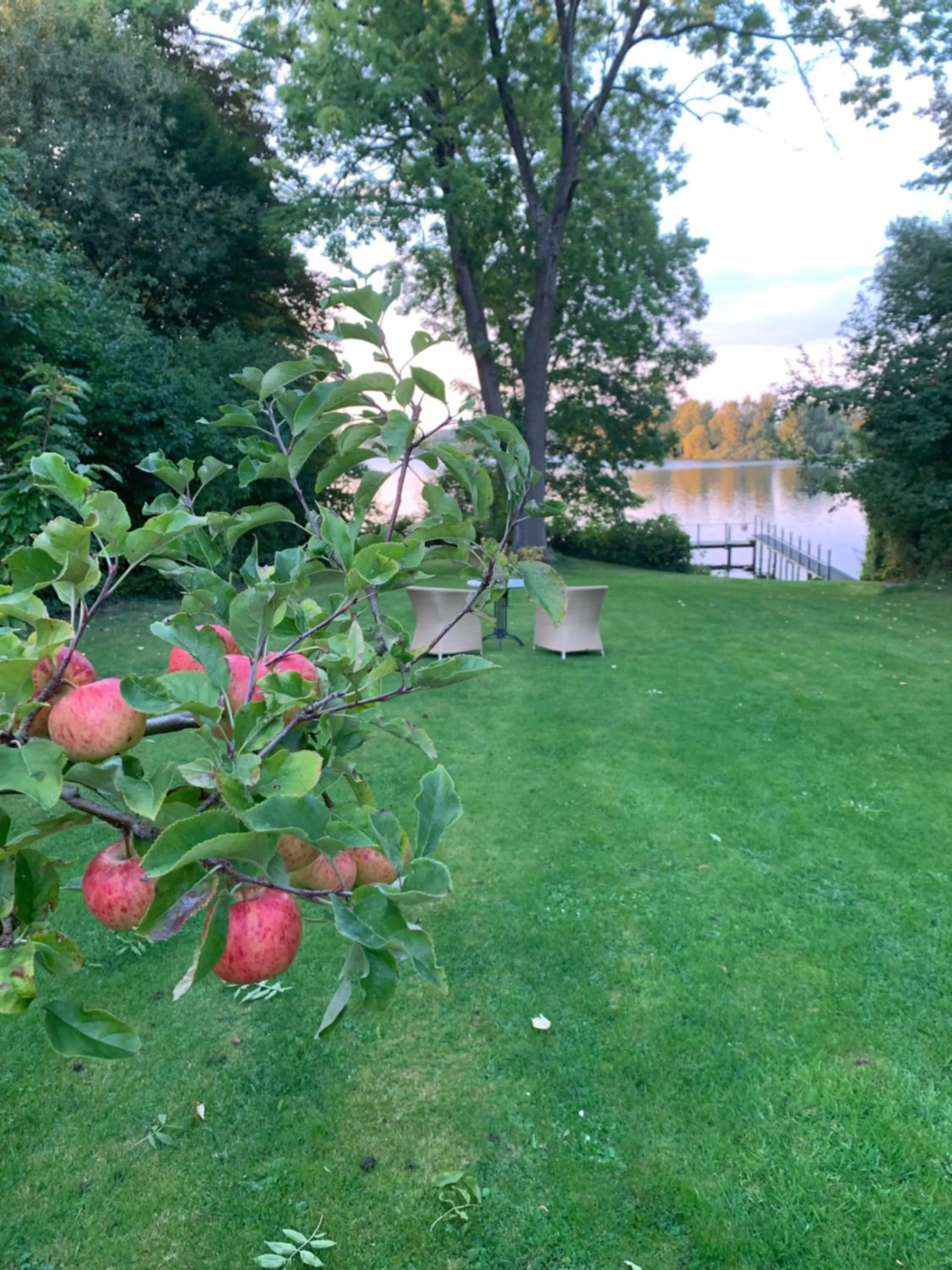 Garden in Hotel Seeufer