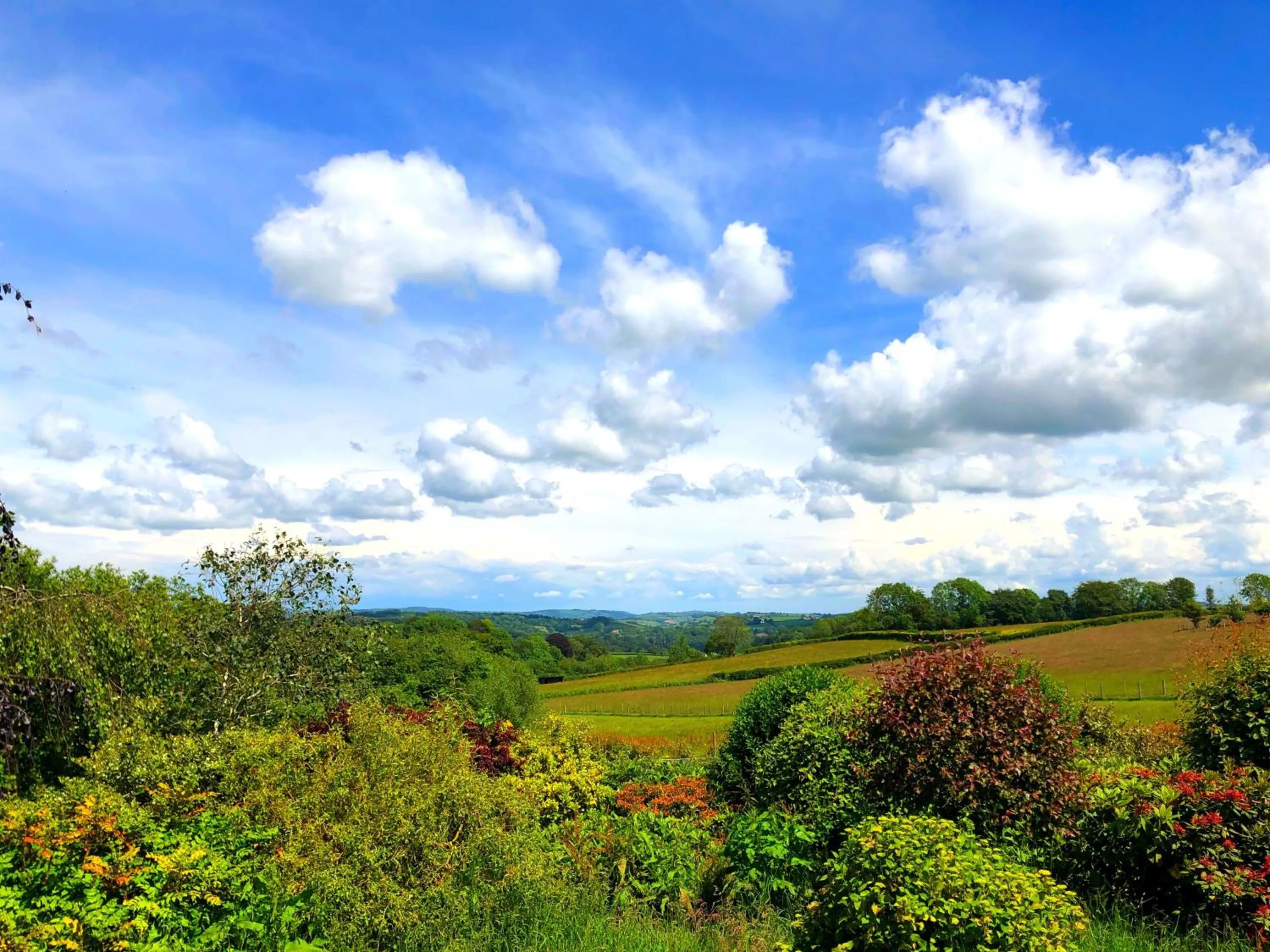Neighbourhood in The Red Lion Hotel