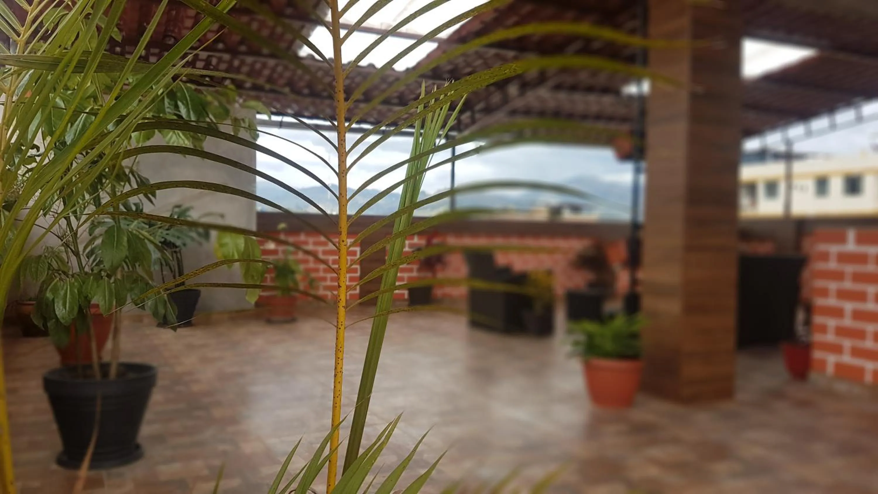 Day in Hotel Los Nogales