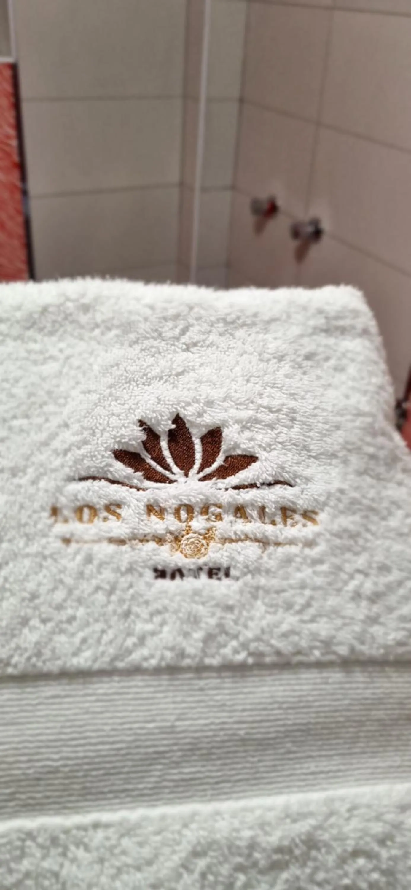 Bathroom in Hotel Los Nogales