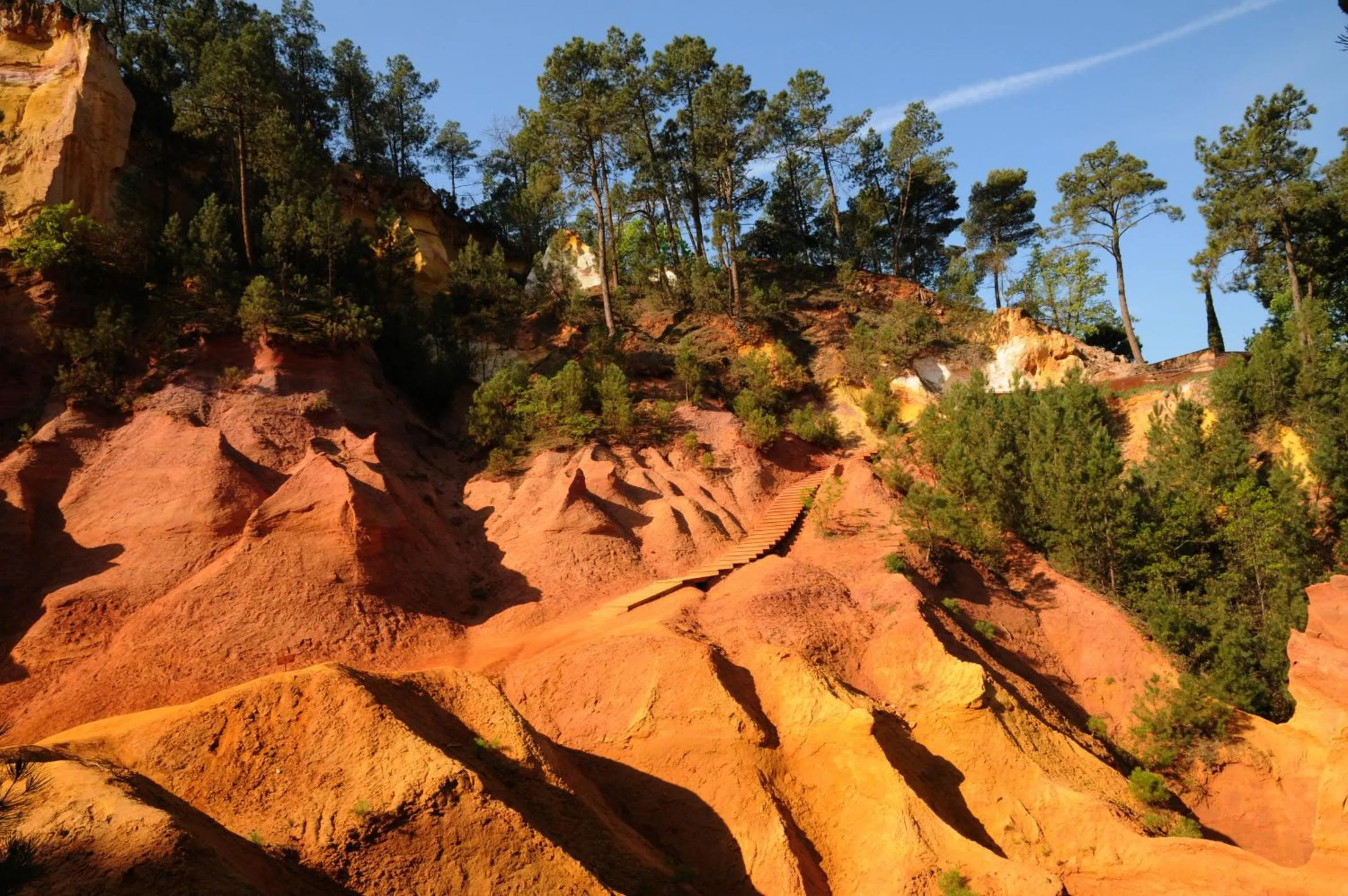 Area and facilities in Ibis Cavaillon Portes du Luberon