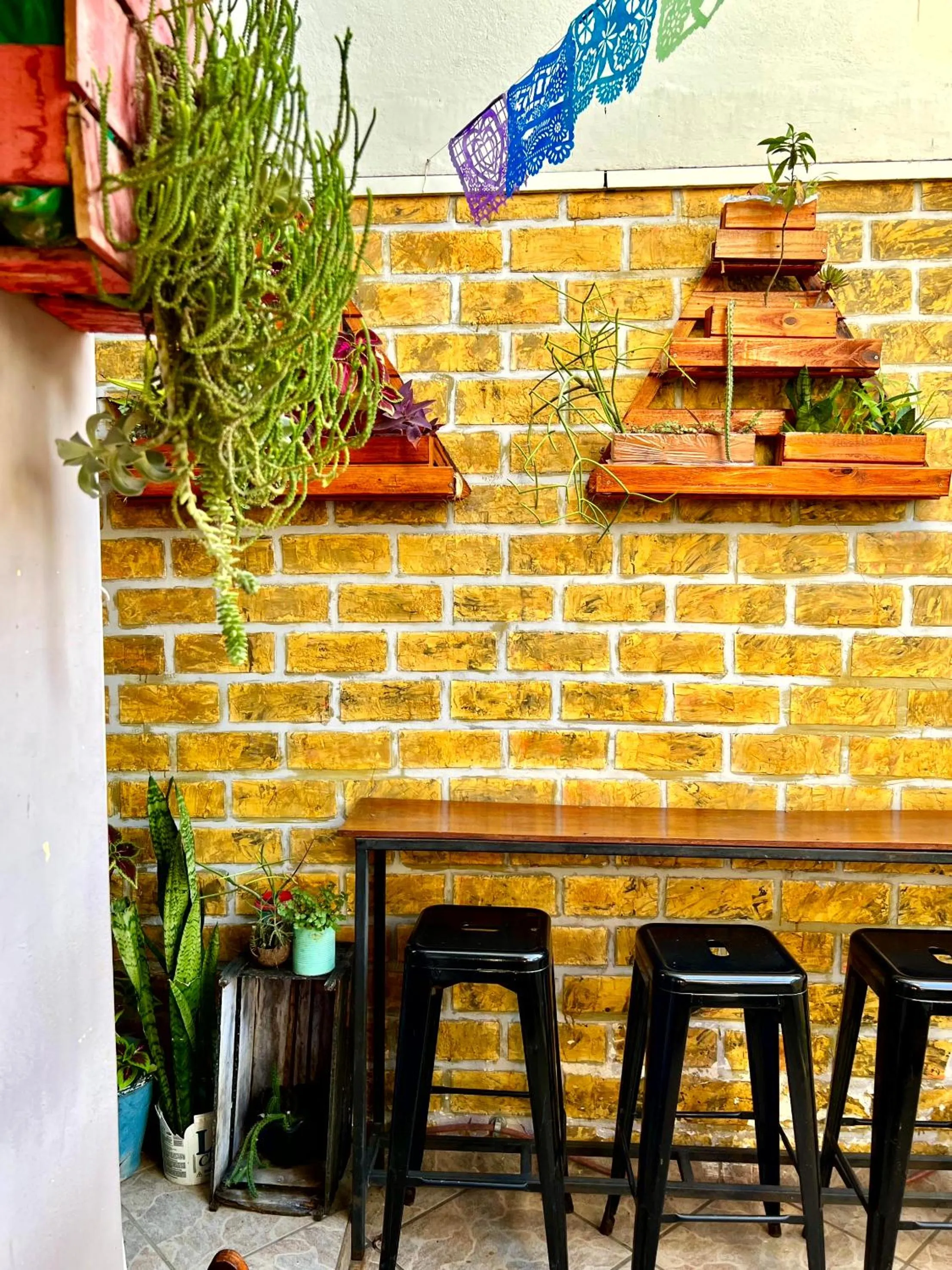 Patio in Chamos Hostel Cultural
