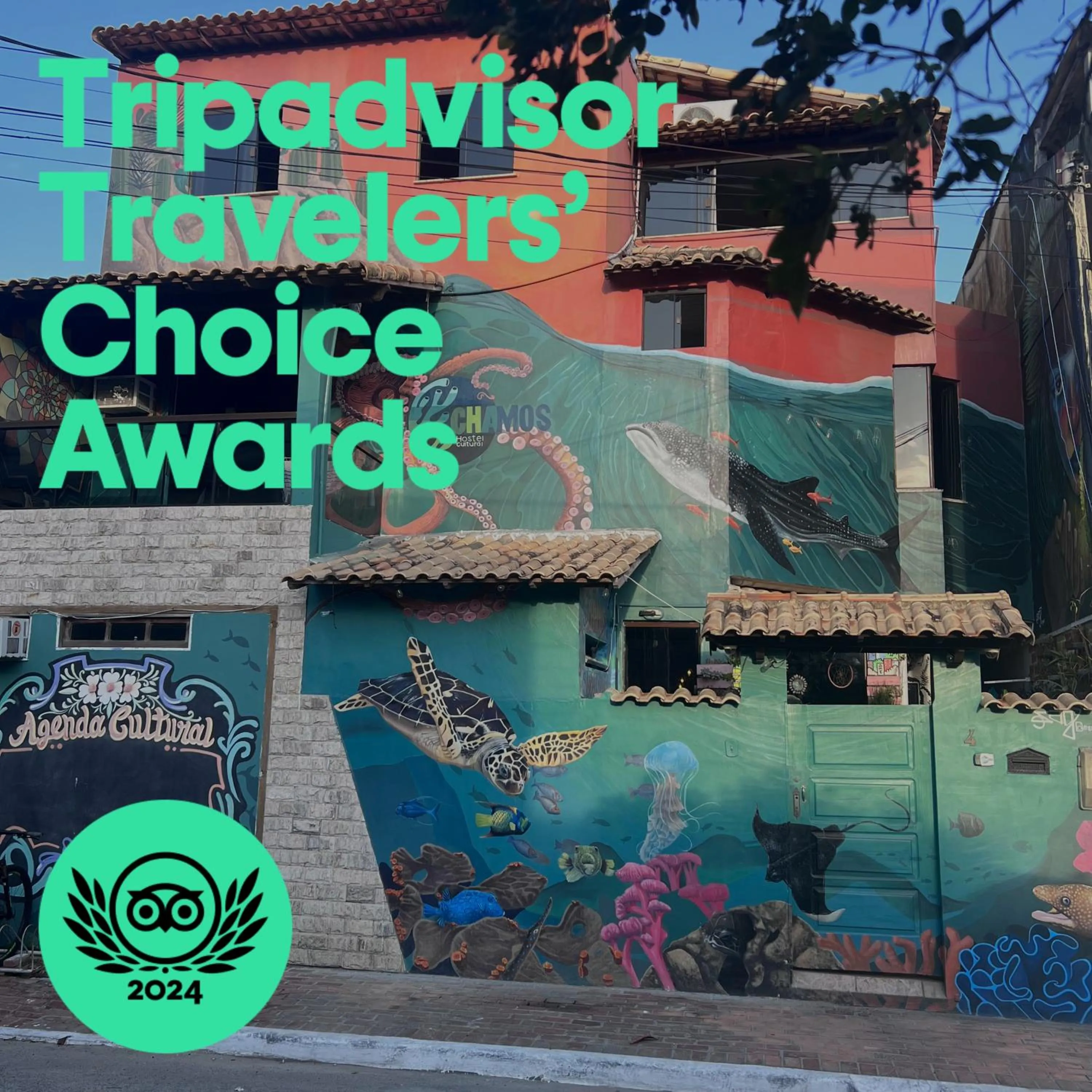 Facade/entrance in Chamos Hostel Cultural