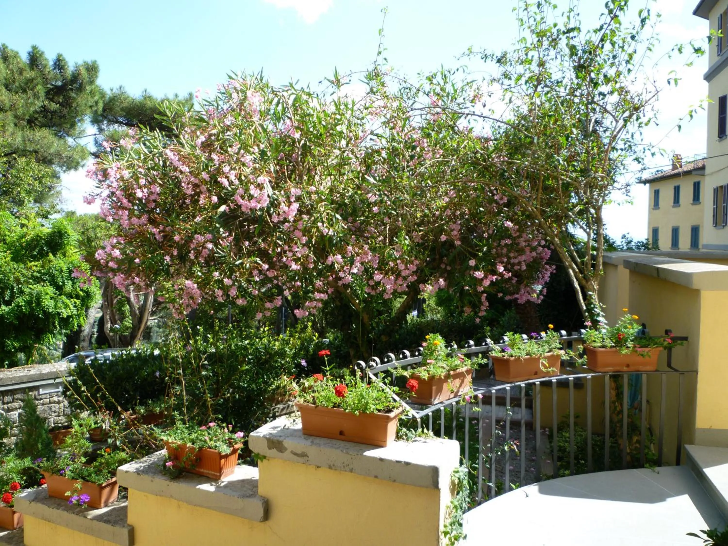 Garden in Villa Santa Margherita - Albergo