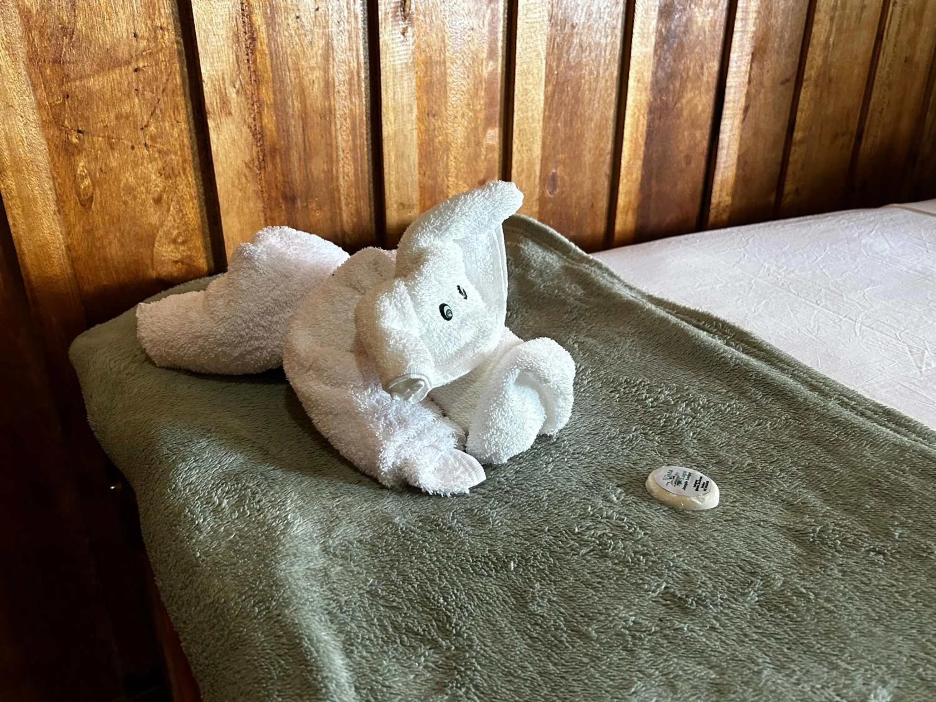 Bed in Vista do Lago Jungle Lodge