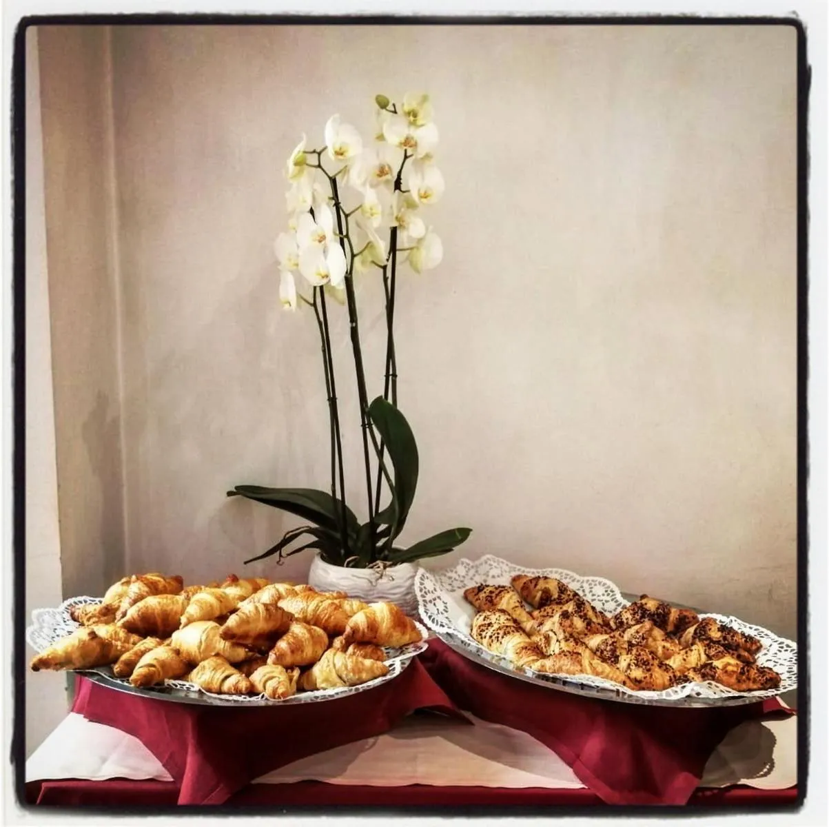 Restaurant/places to eat in Hotel Davide