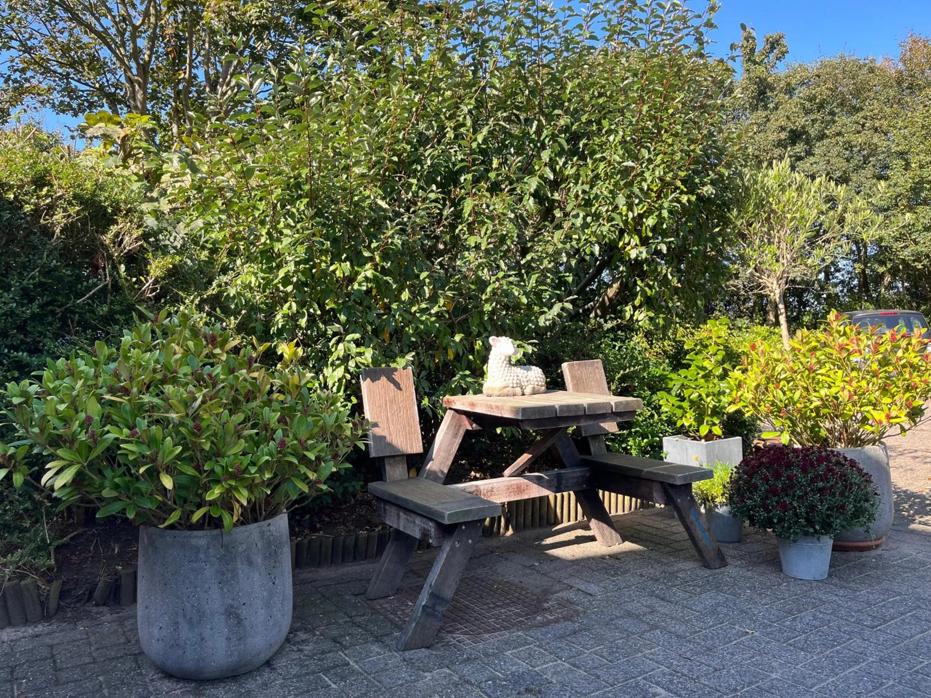 Balcony/Terrace in B&B Vloedlijn Texel