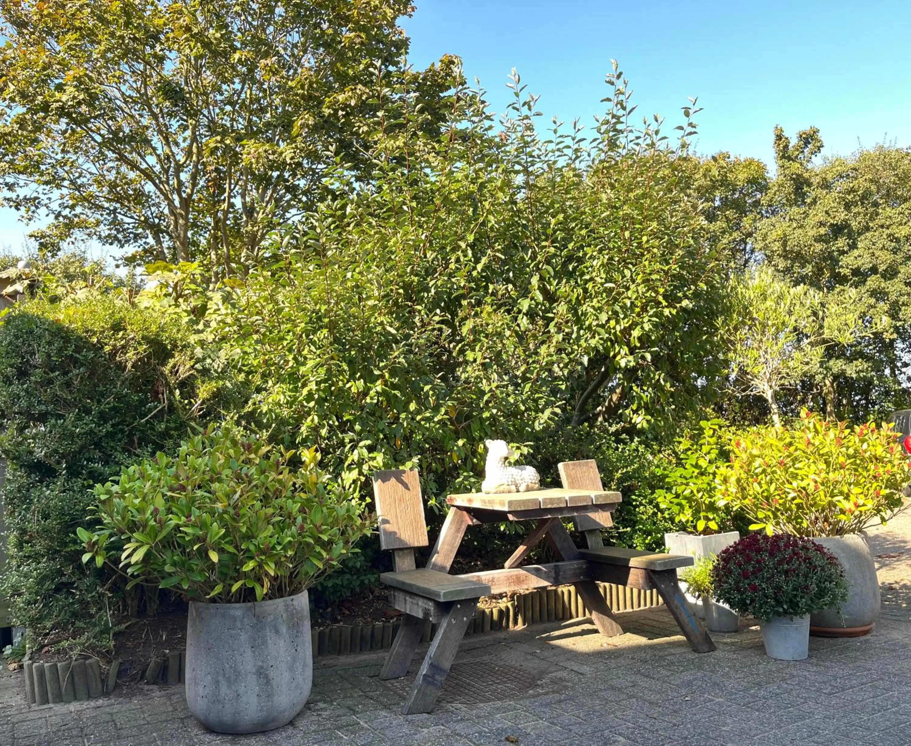 Balcony/Terrace in B&B Vloedlijn Texel