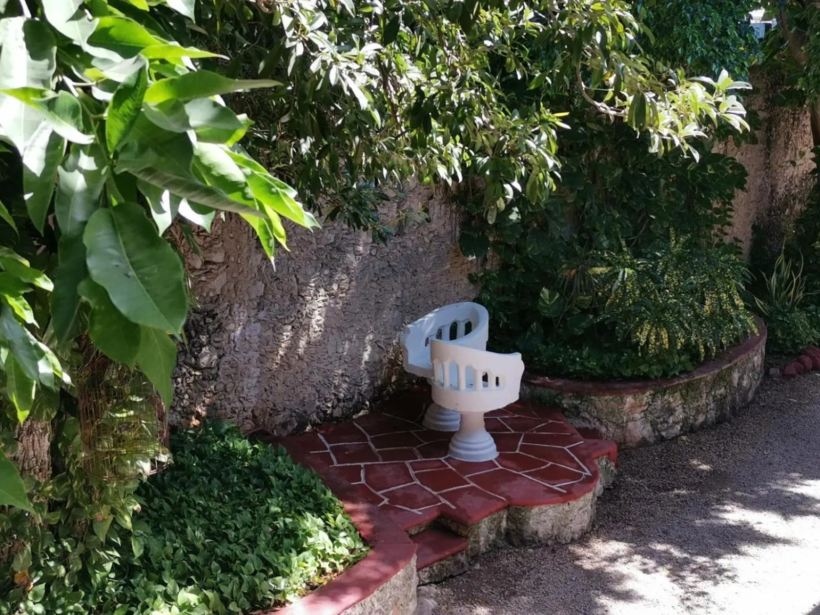 Garden in Hotel Holly