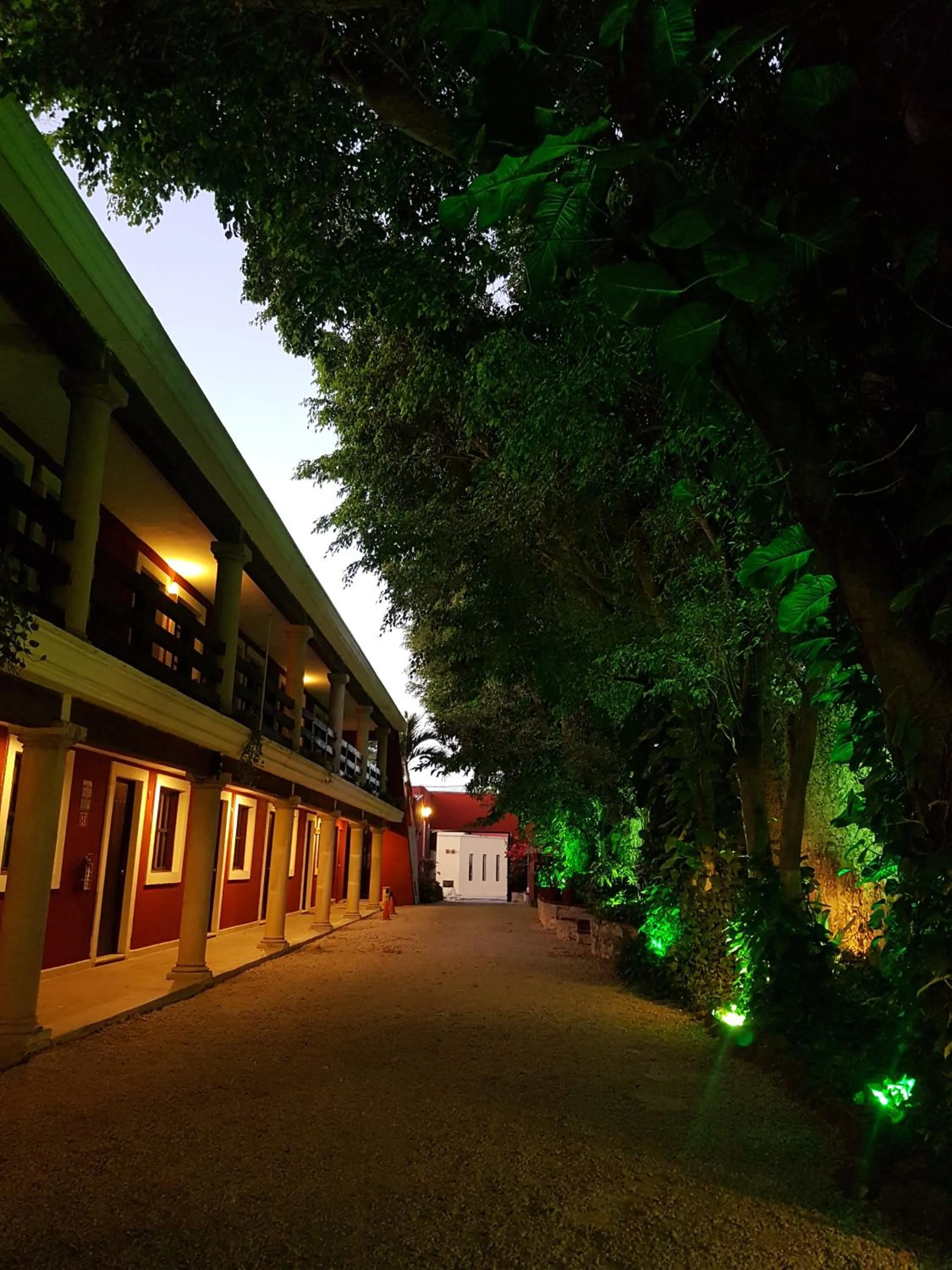 Property building in Hotel Holly