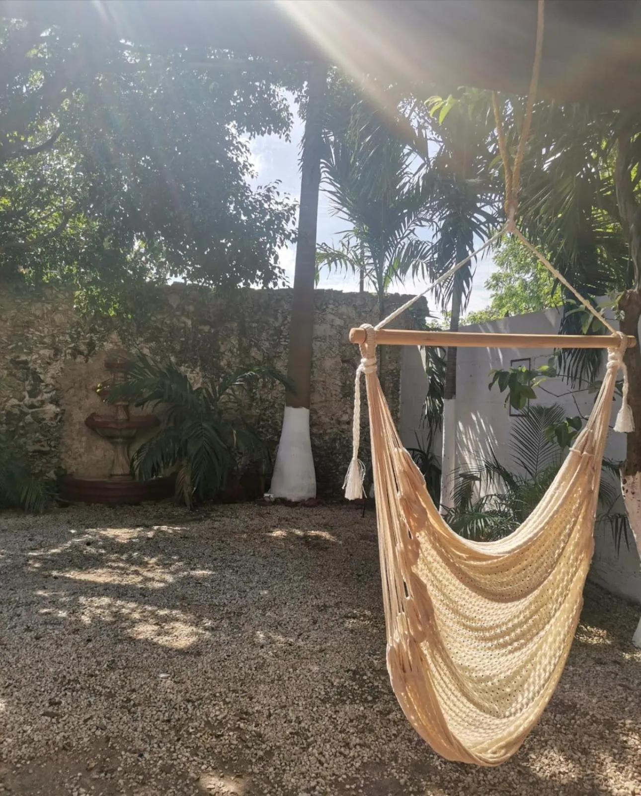 Garden in Hotel Holly