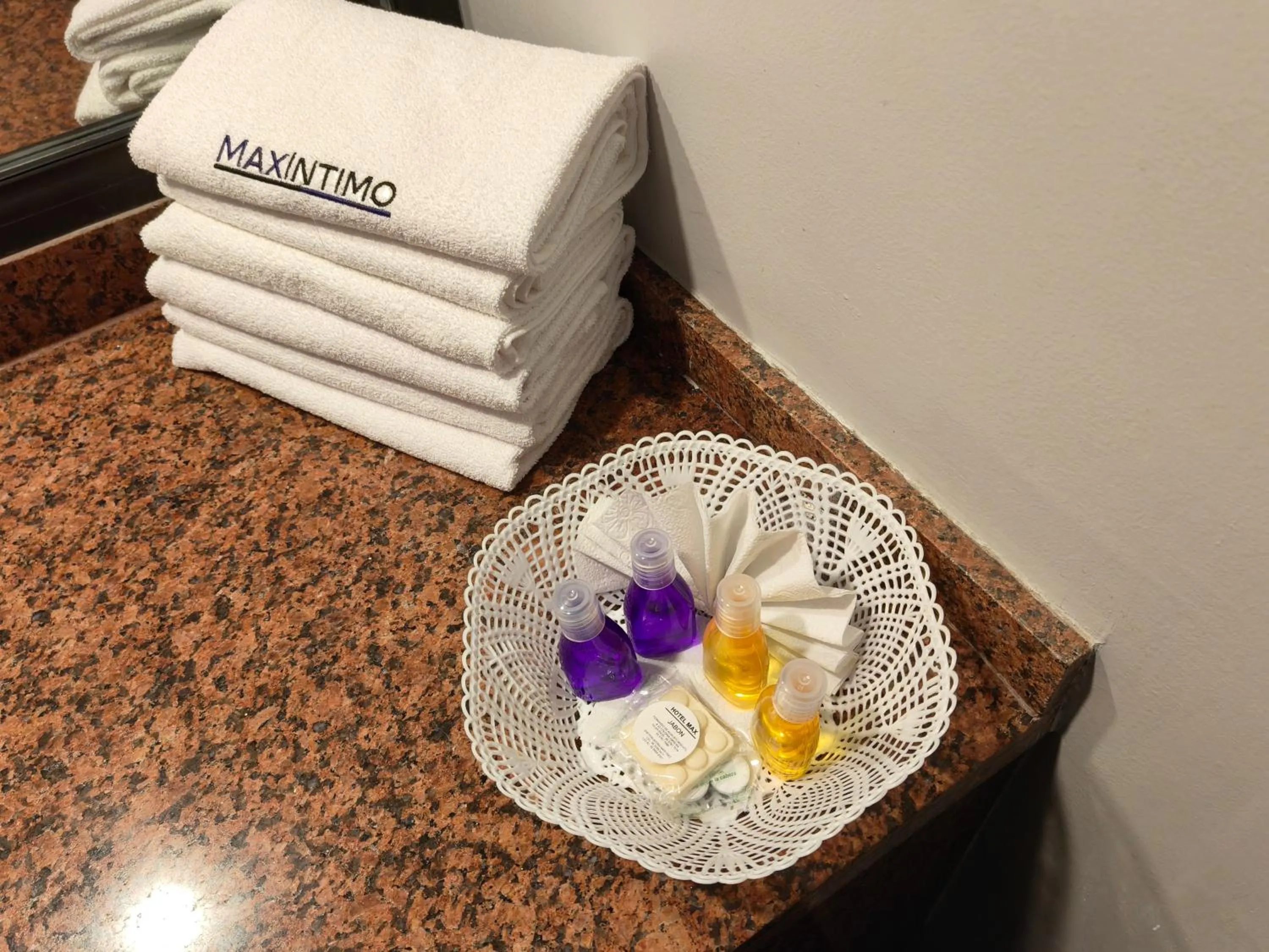 Bathroom in Hotel Max