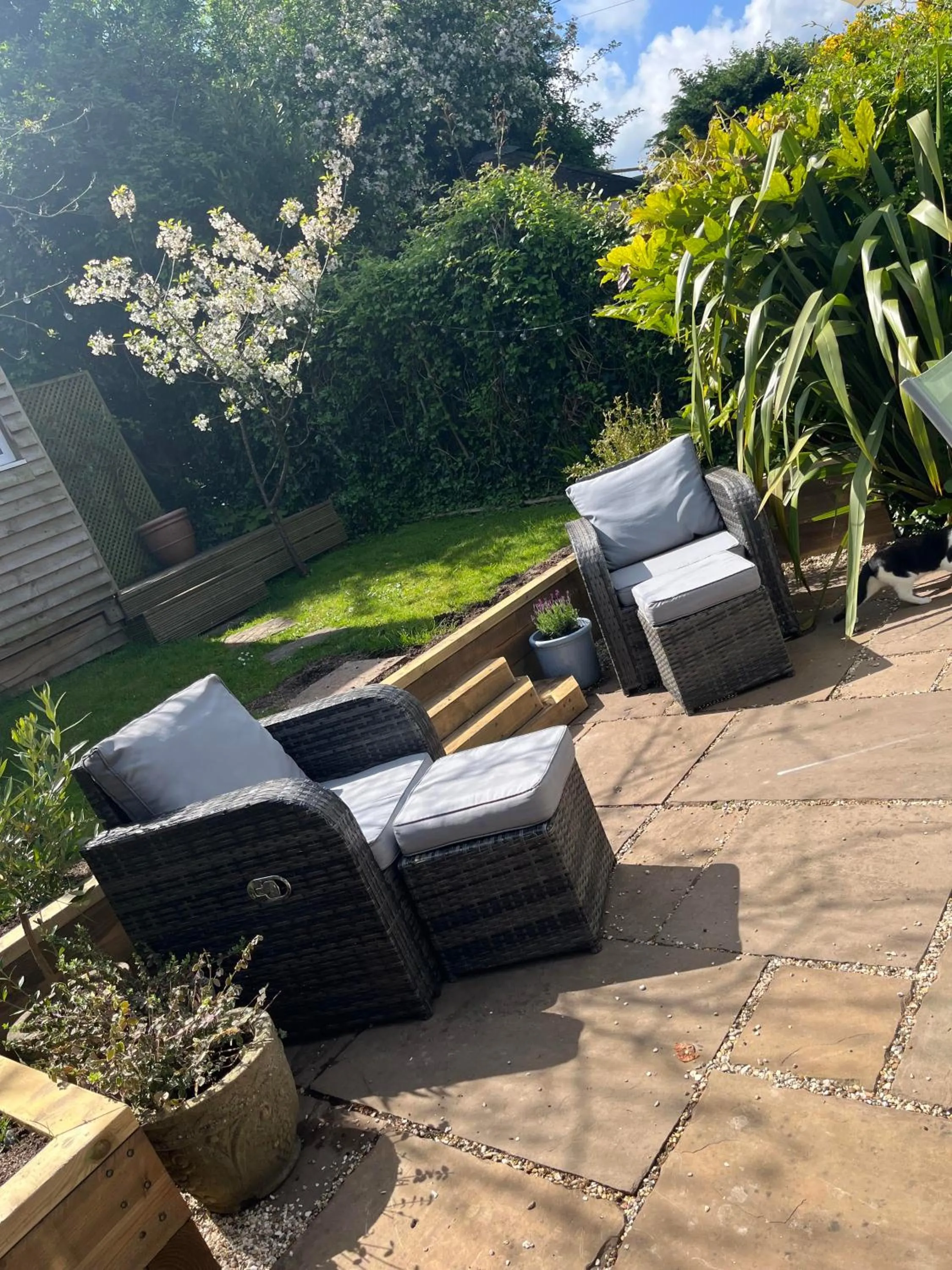 Garden in The Glastonbury Townhouse B&B