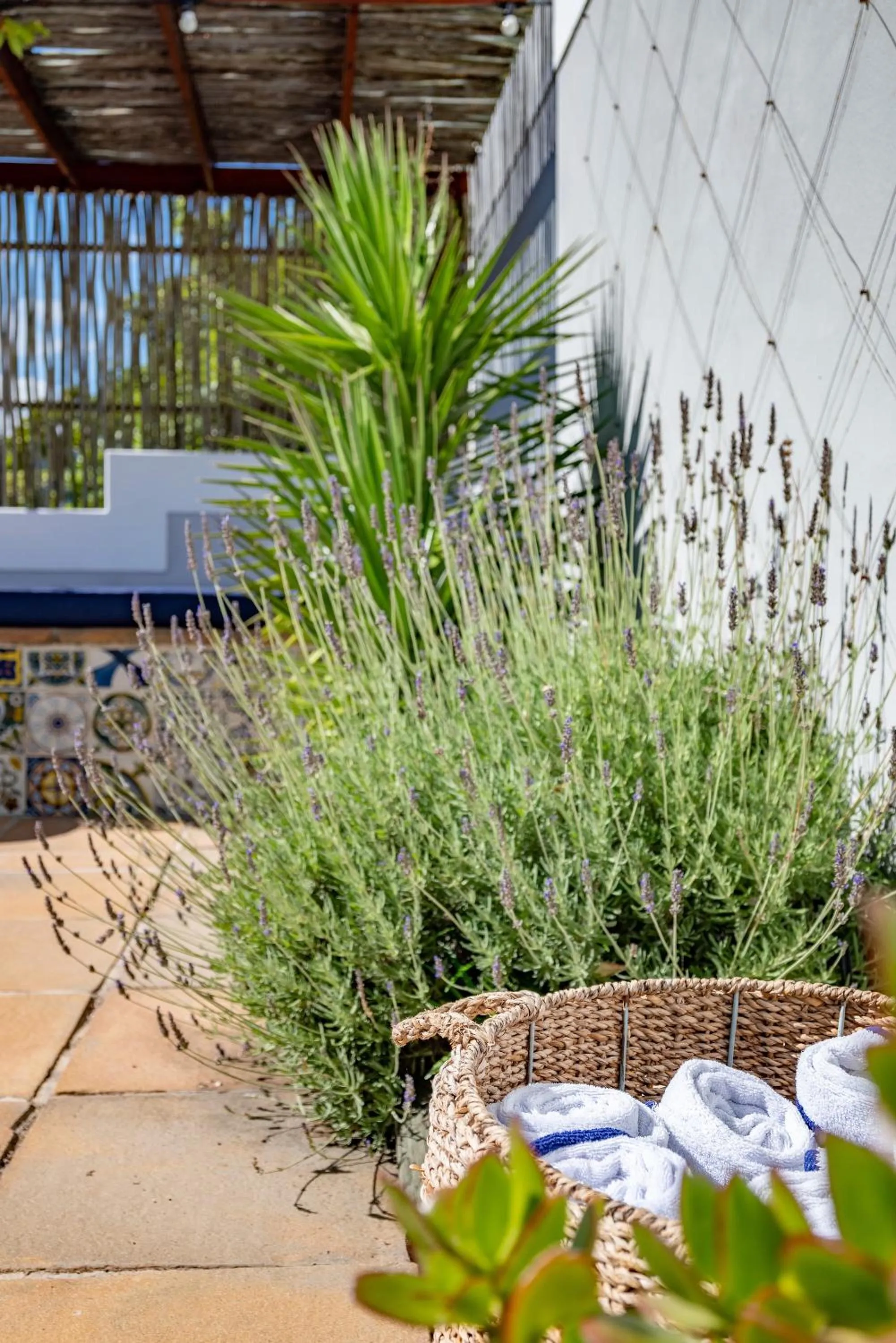 Day in Hout & About Guest House