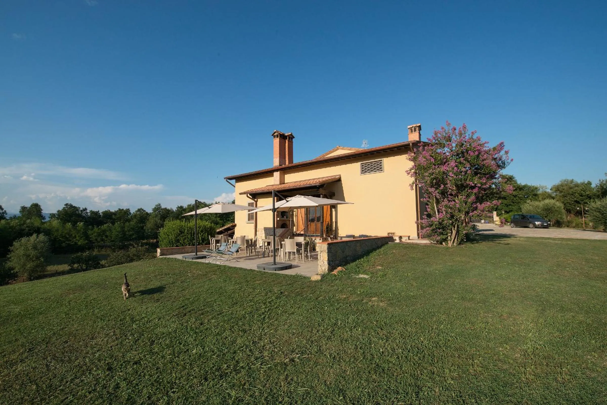 Garden in B&B CASALISA