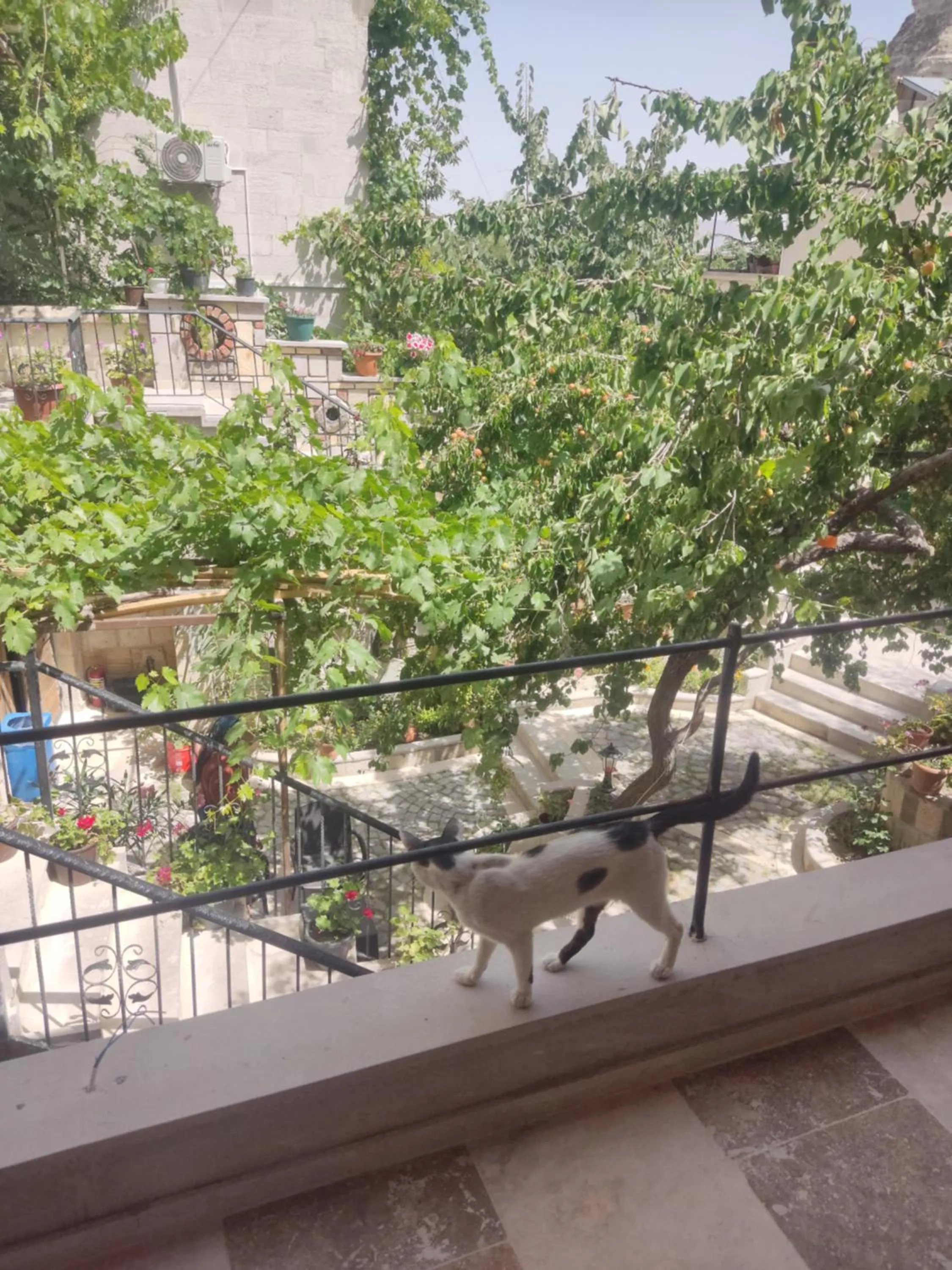 Inner courtyard view in Luwian Stone House