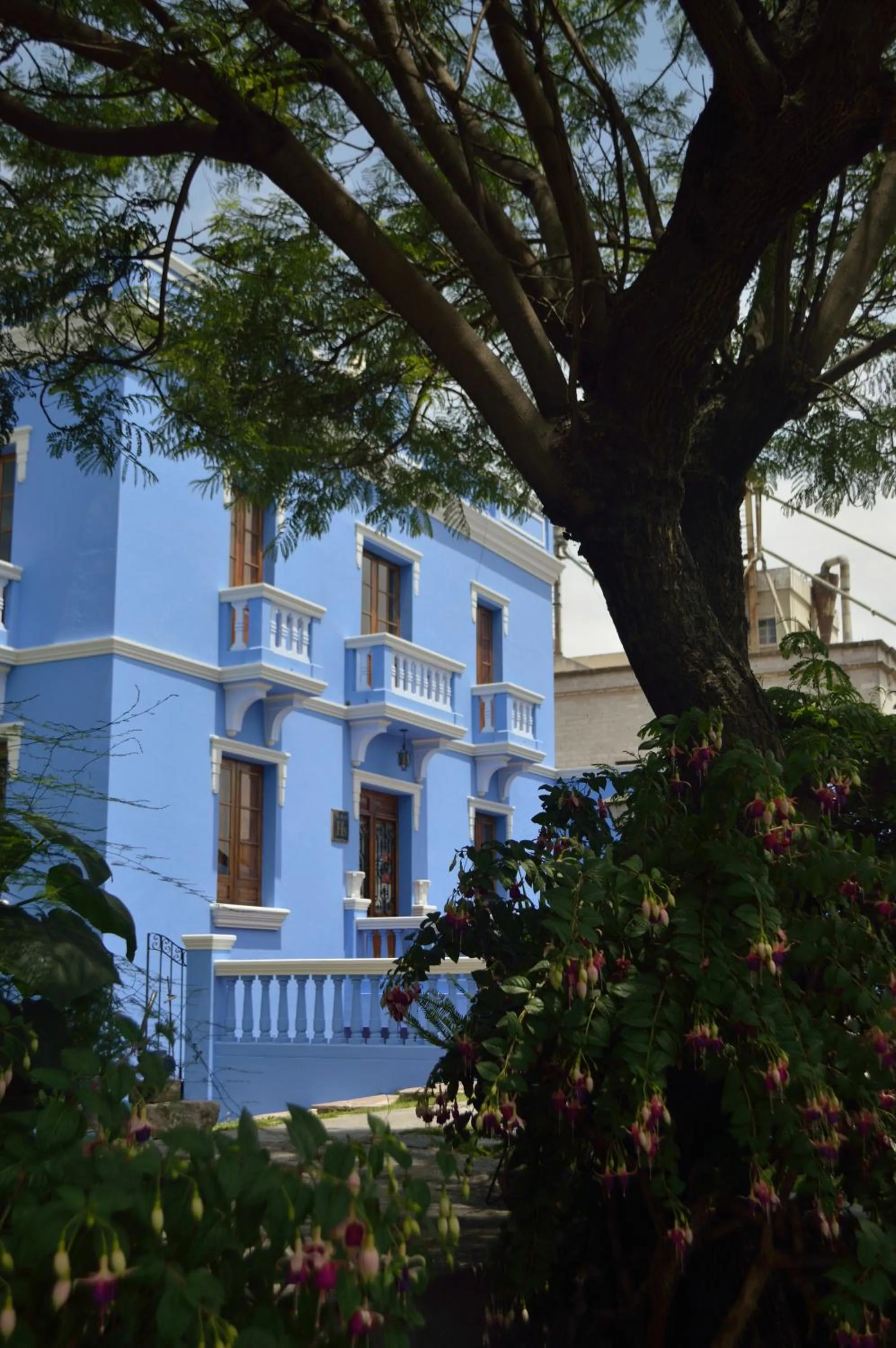 Facade/entrance in Las Mercedes