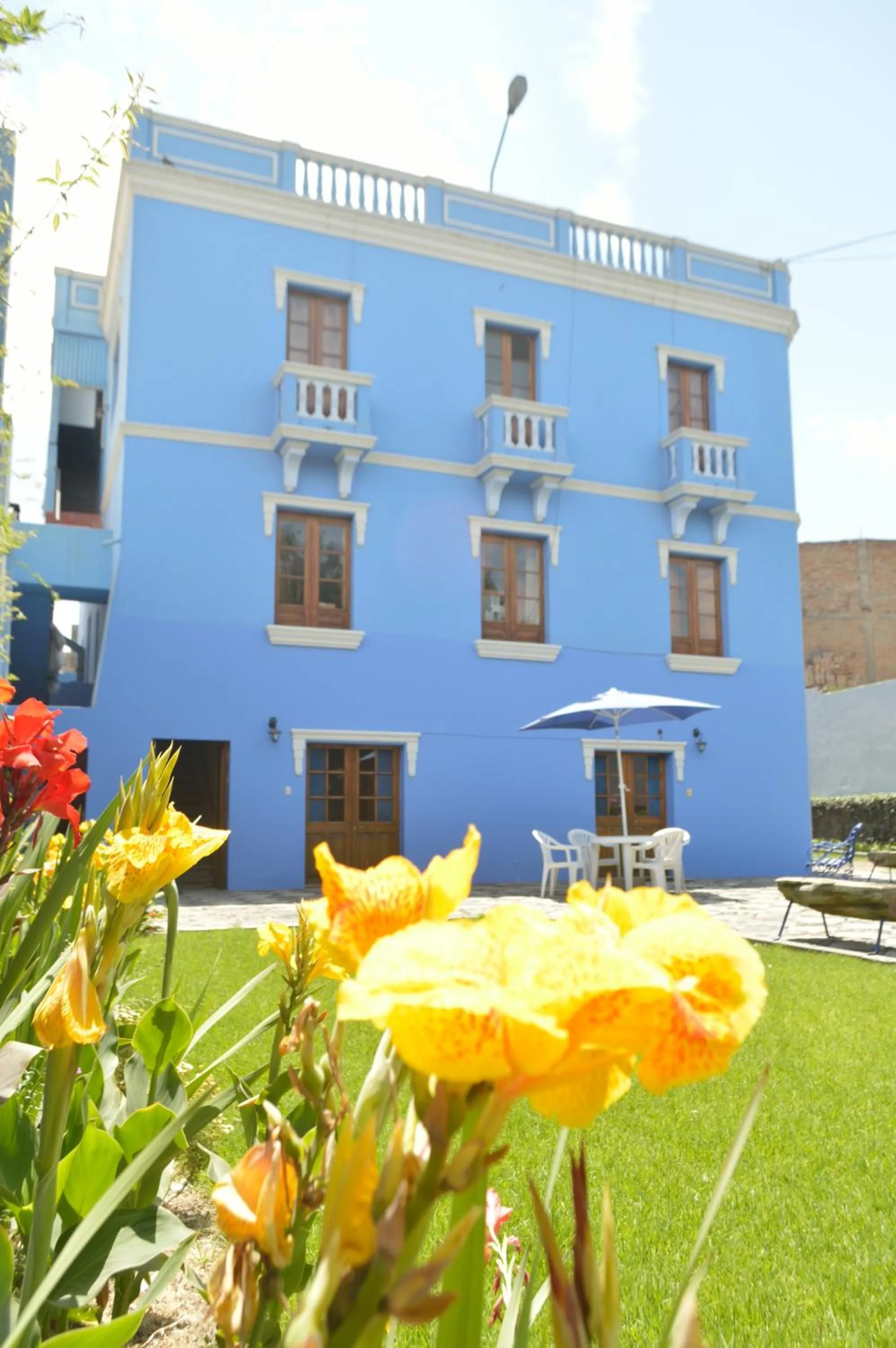 Garden in Las Mercedes