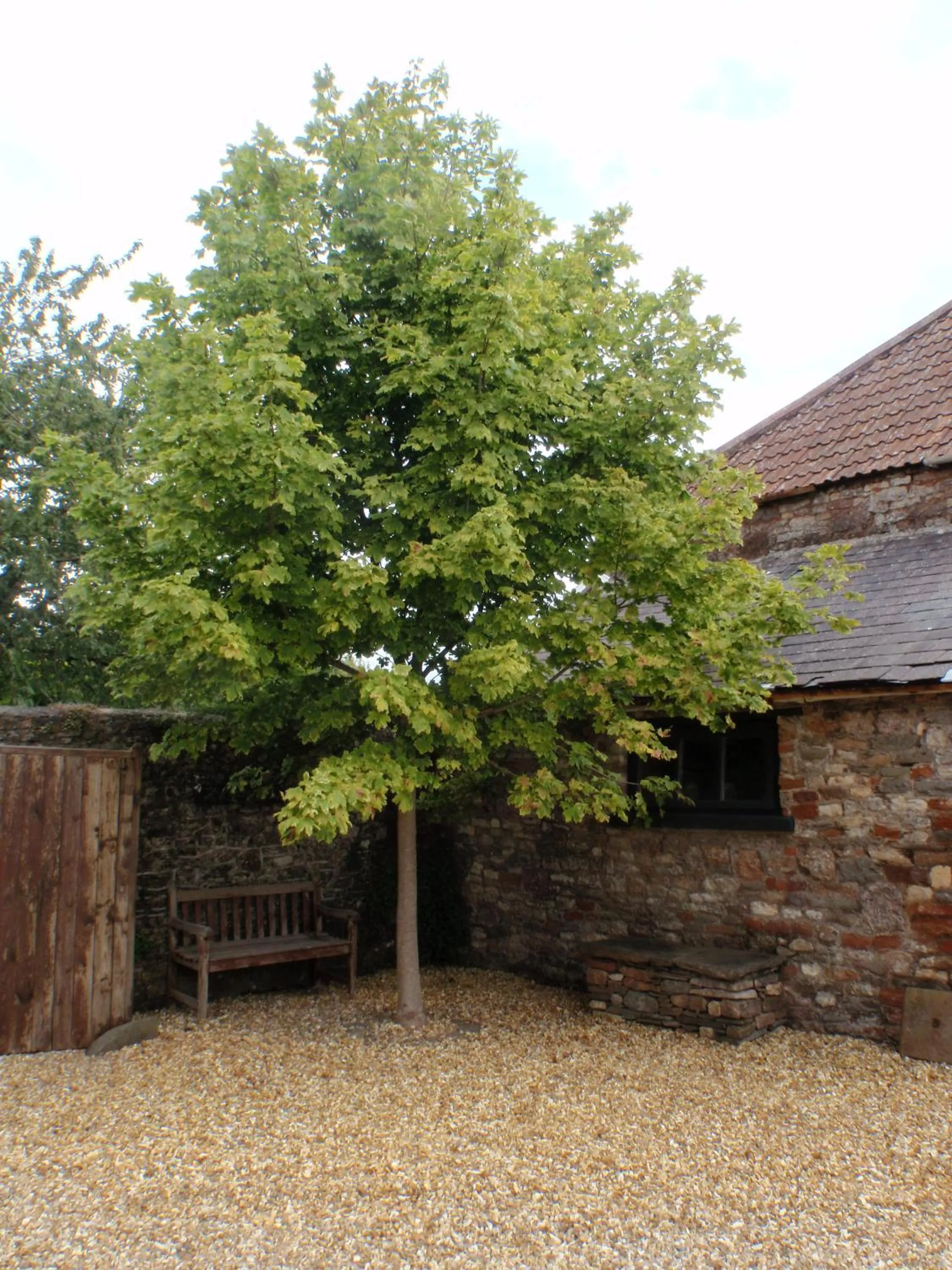 Patio in The Old Parsonage