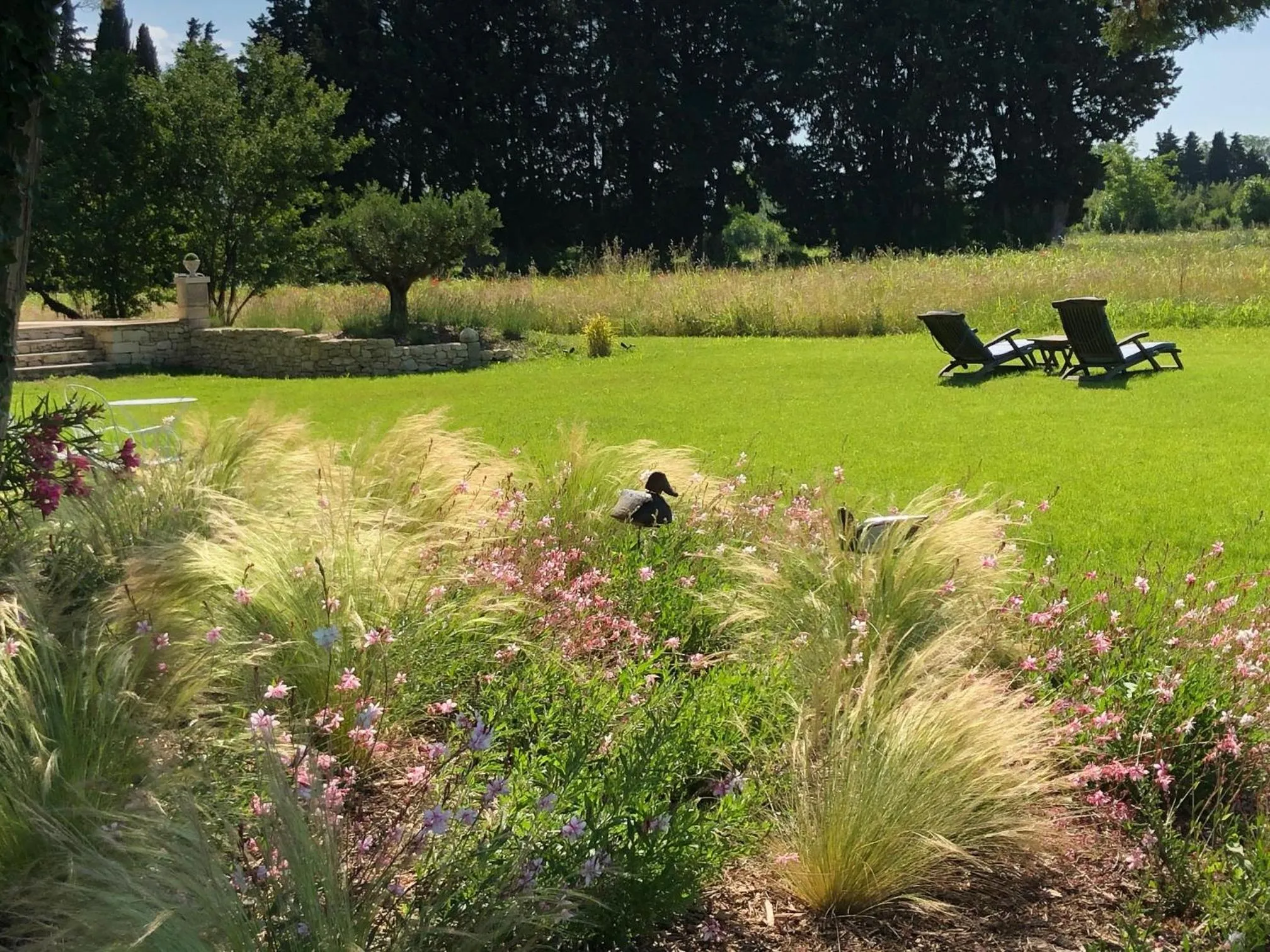 Garden in Le Mas de la Sorgue