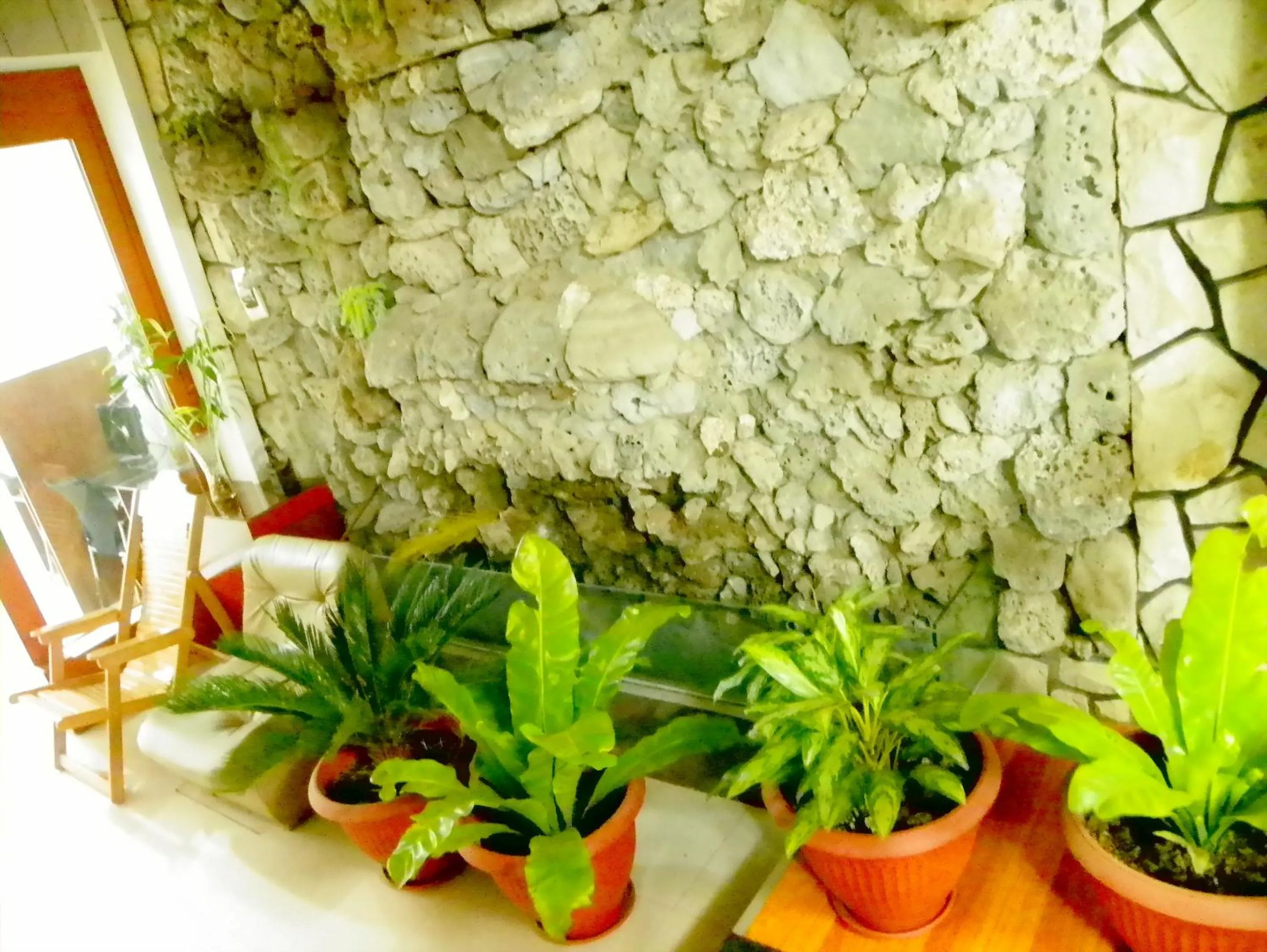 Garden in Hotel Villa Rita Chiclayo