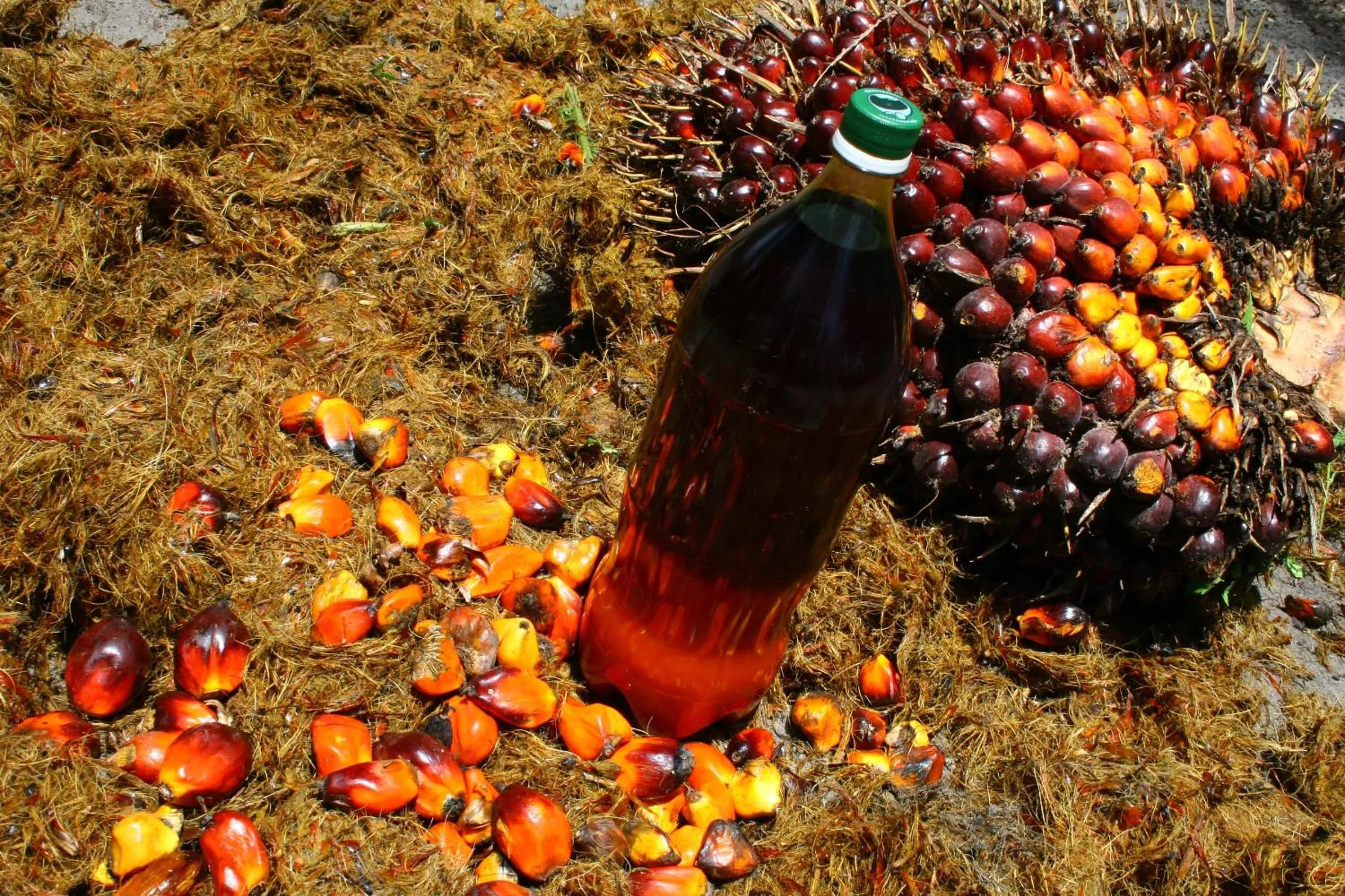 Pousada Lagoa do Cassange