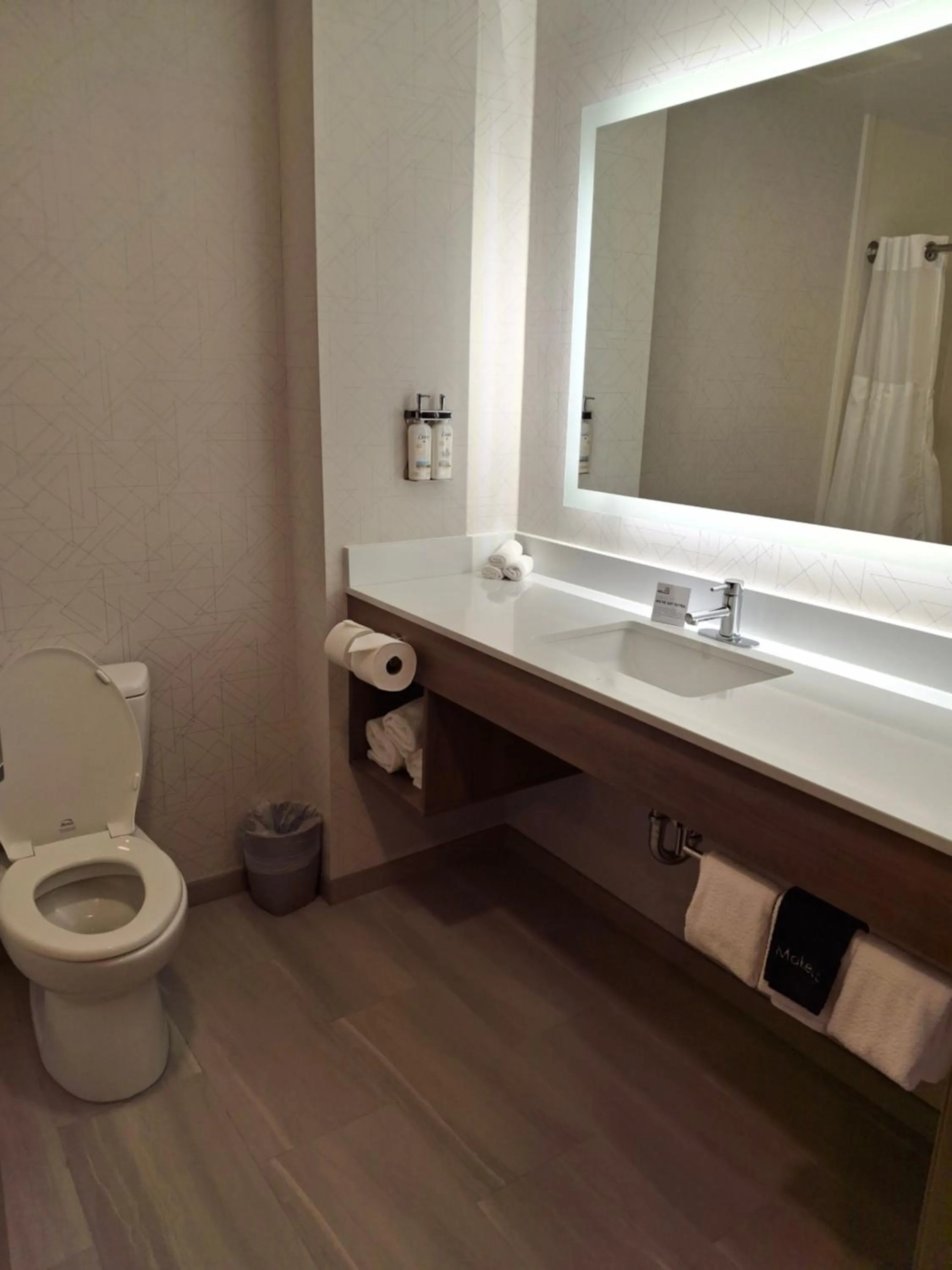 Bathroom in Holiday Inn Express Selinsgrove by IHG