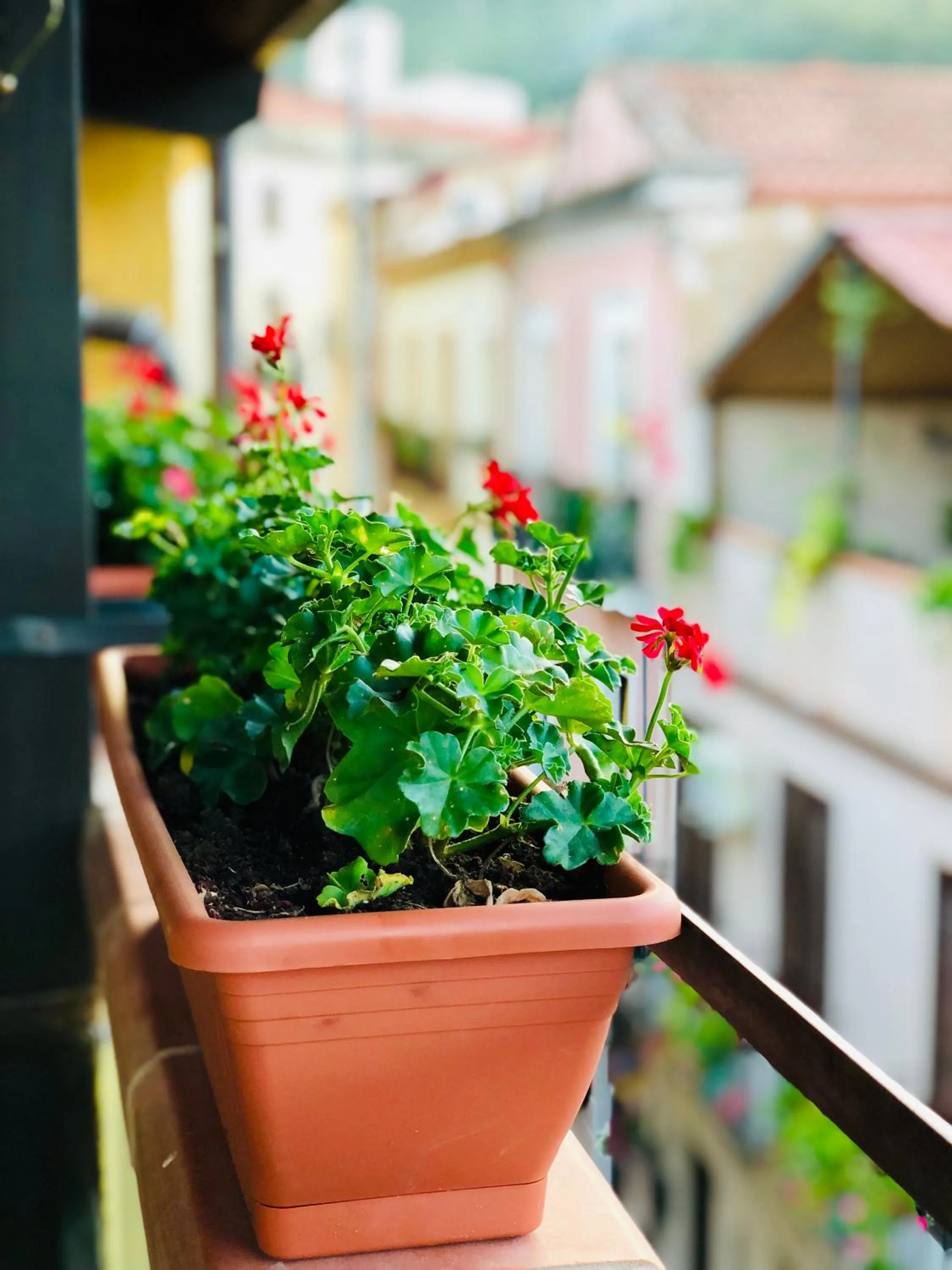 Balcony/Terrace in Il Terrazzino Iglesias