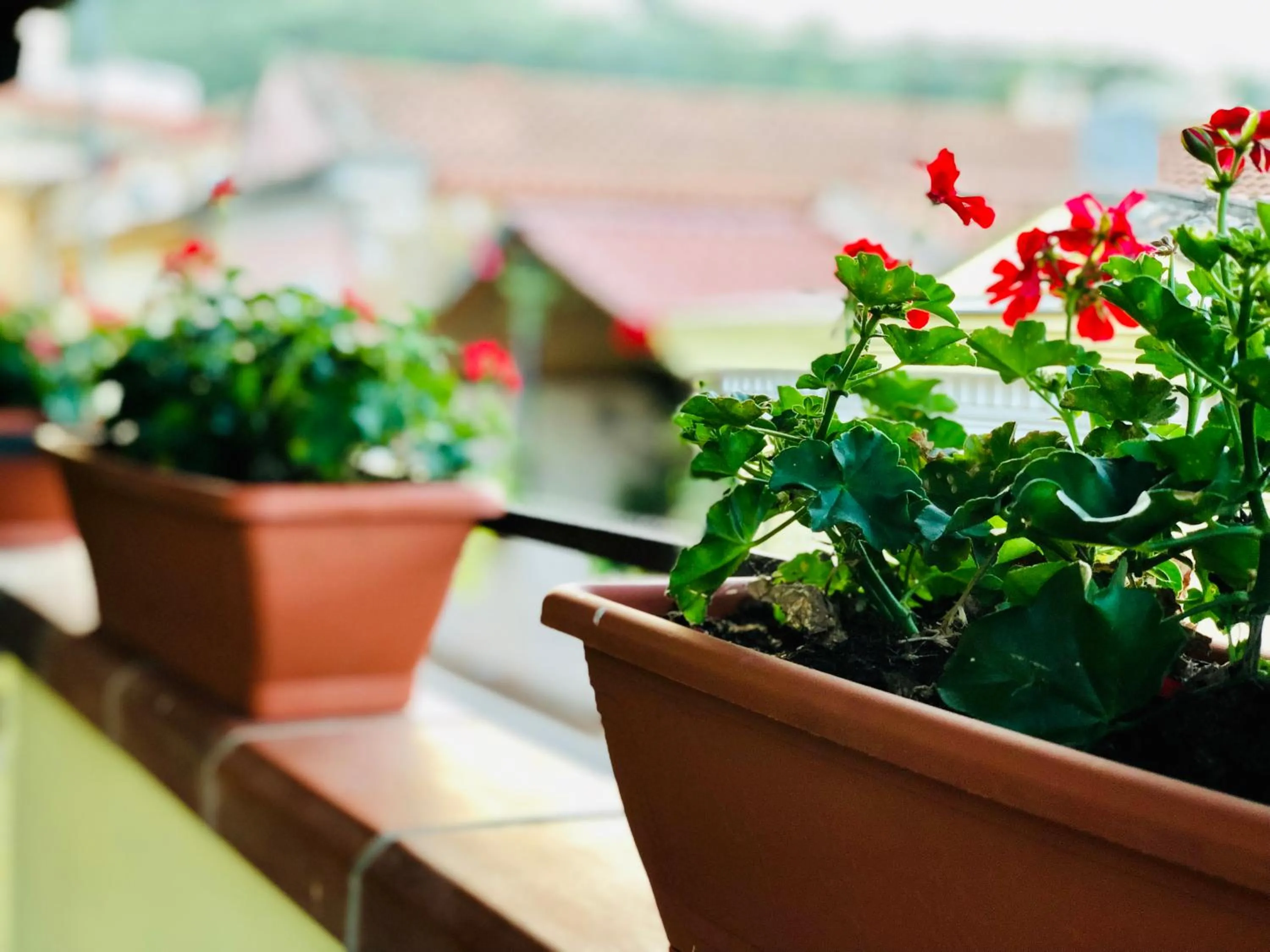 Balcony/Terrace in Il Terrazzino Iglesias