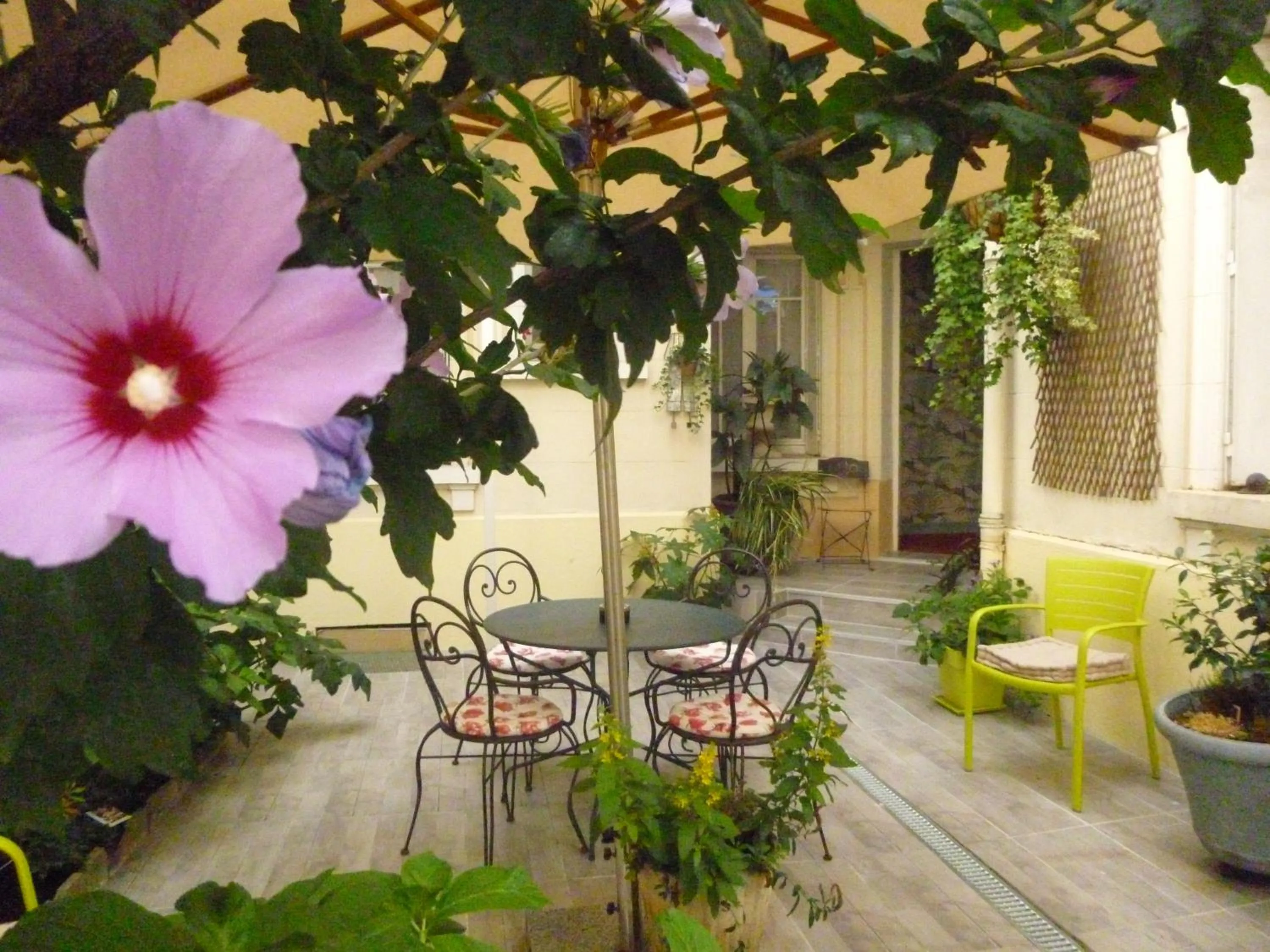 Patio in Hotel California