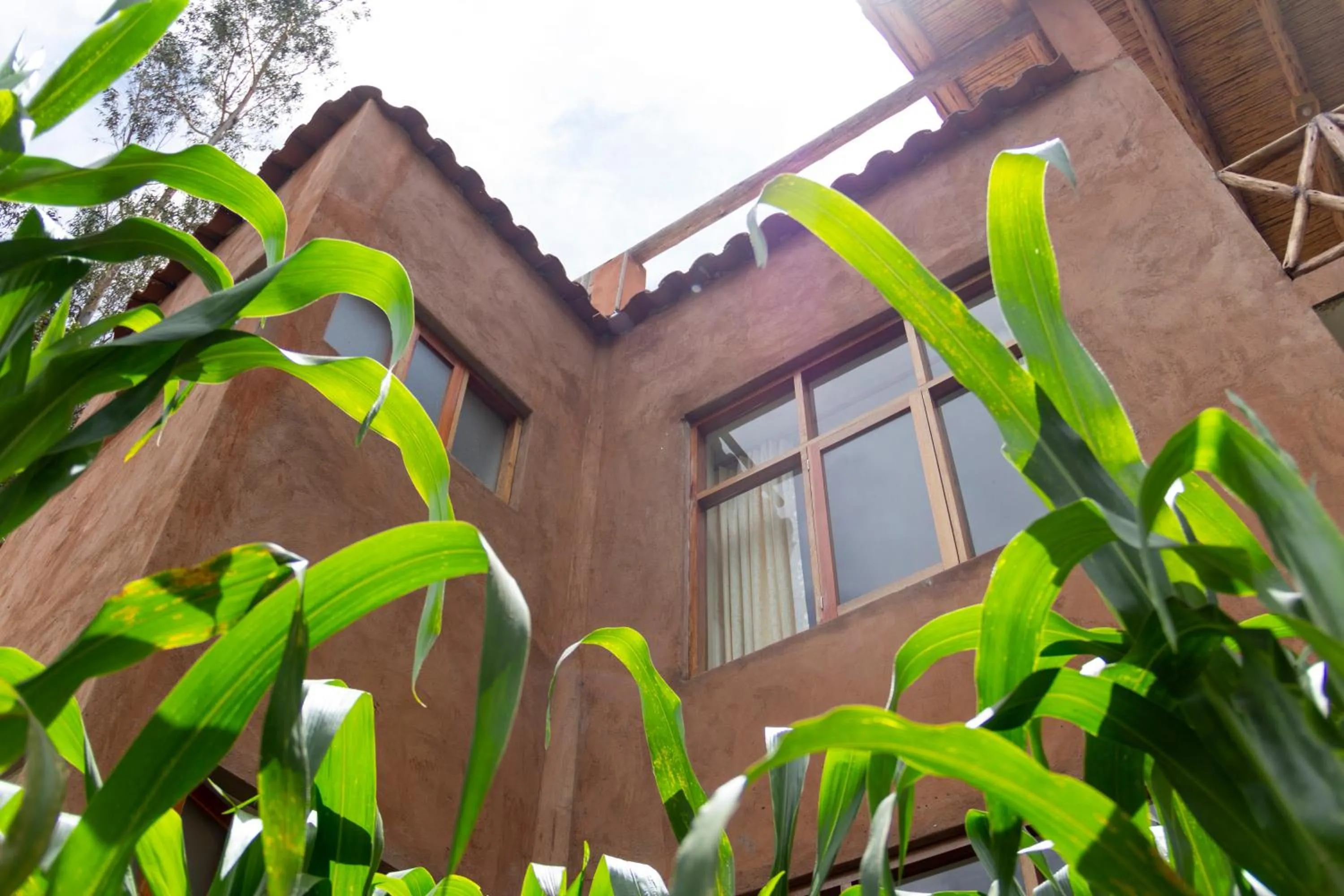 Property building in Allin Illary Eco Hospedaje