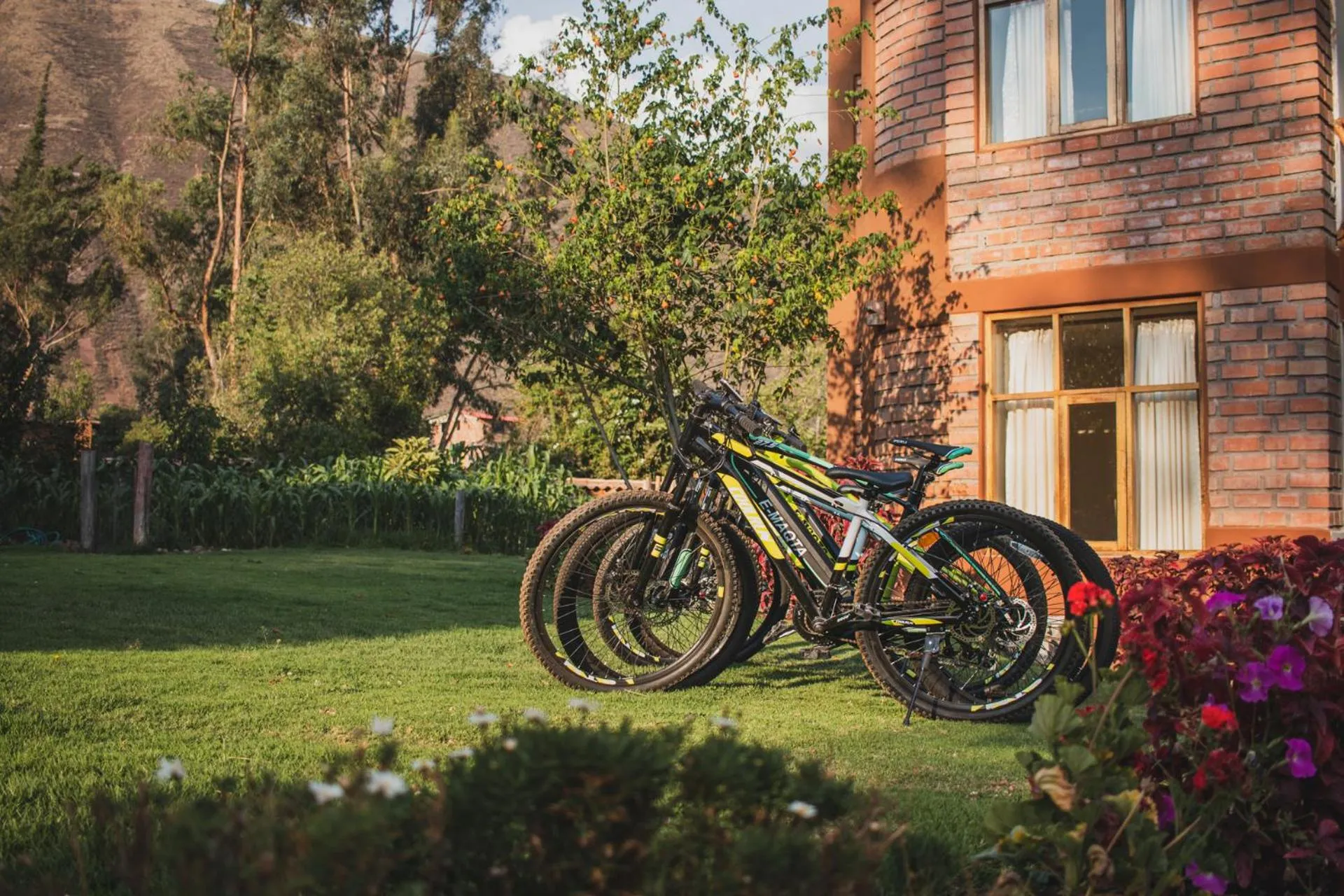 Allin Illary Eco Hospedaje