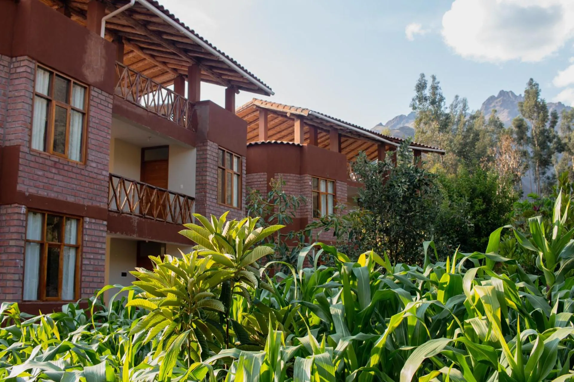 Allin Illary Eco Hospedaje