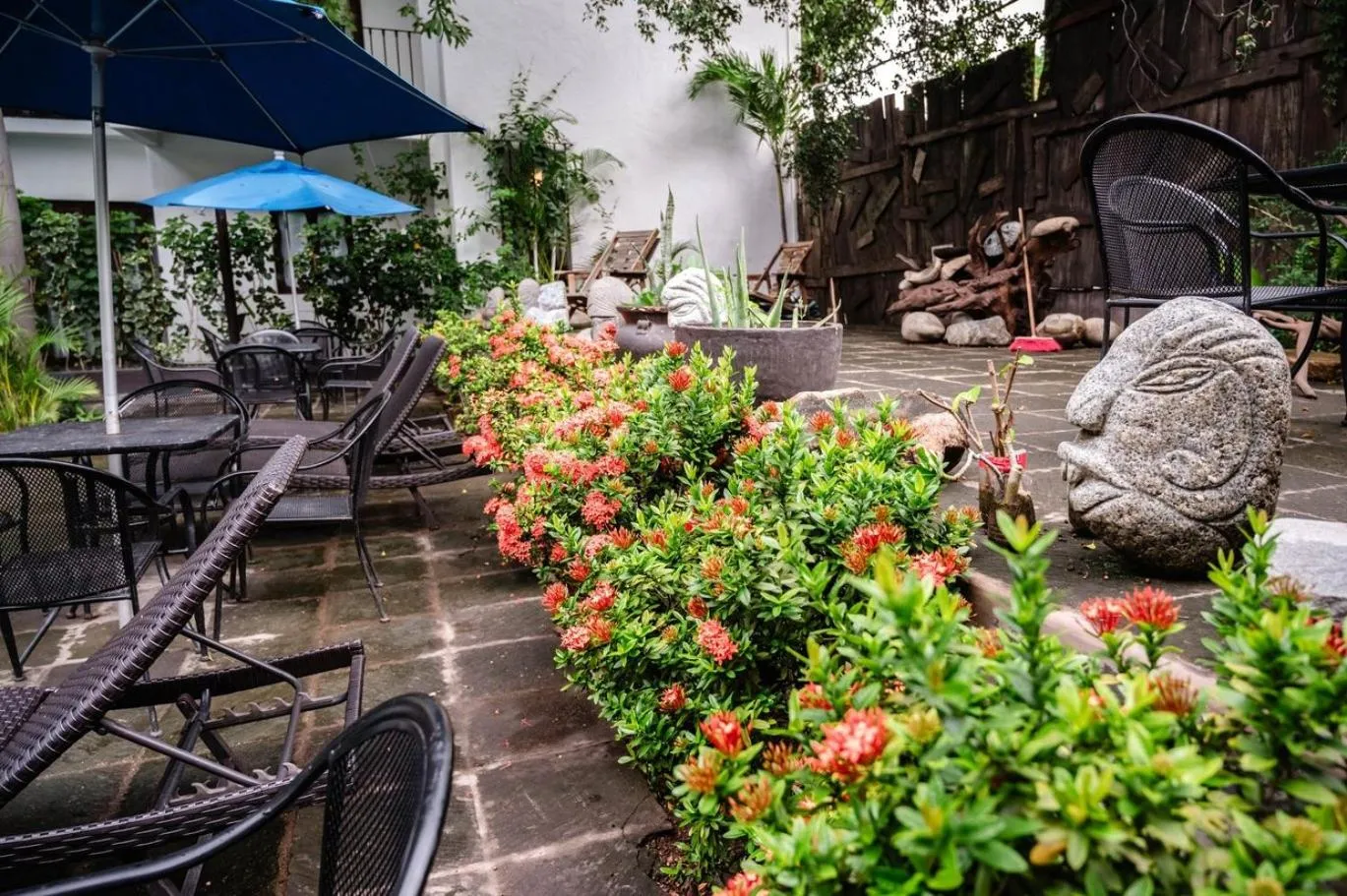 Garden in Ceiba Studios